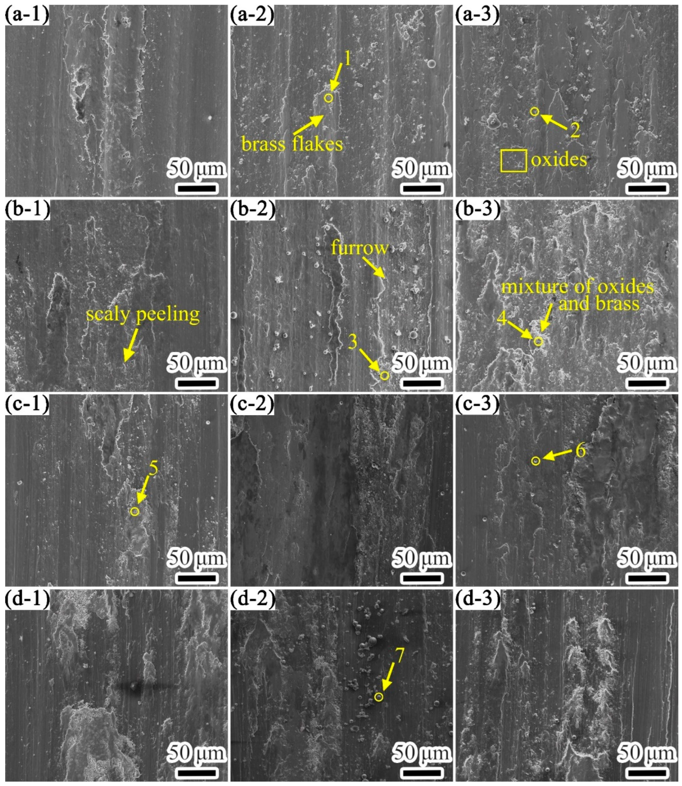 Coatings 12 00792 g014 550