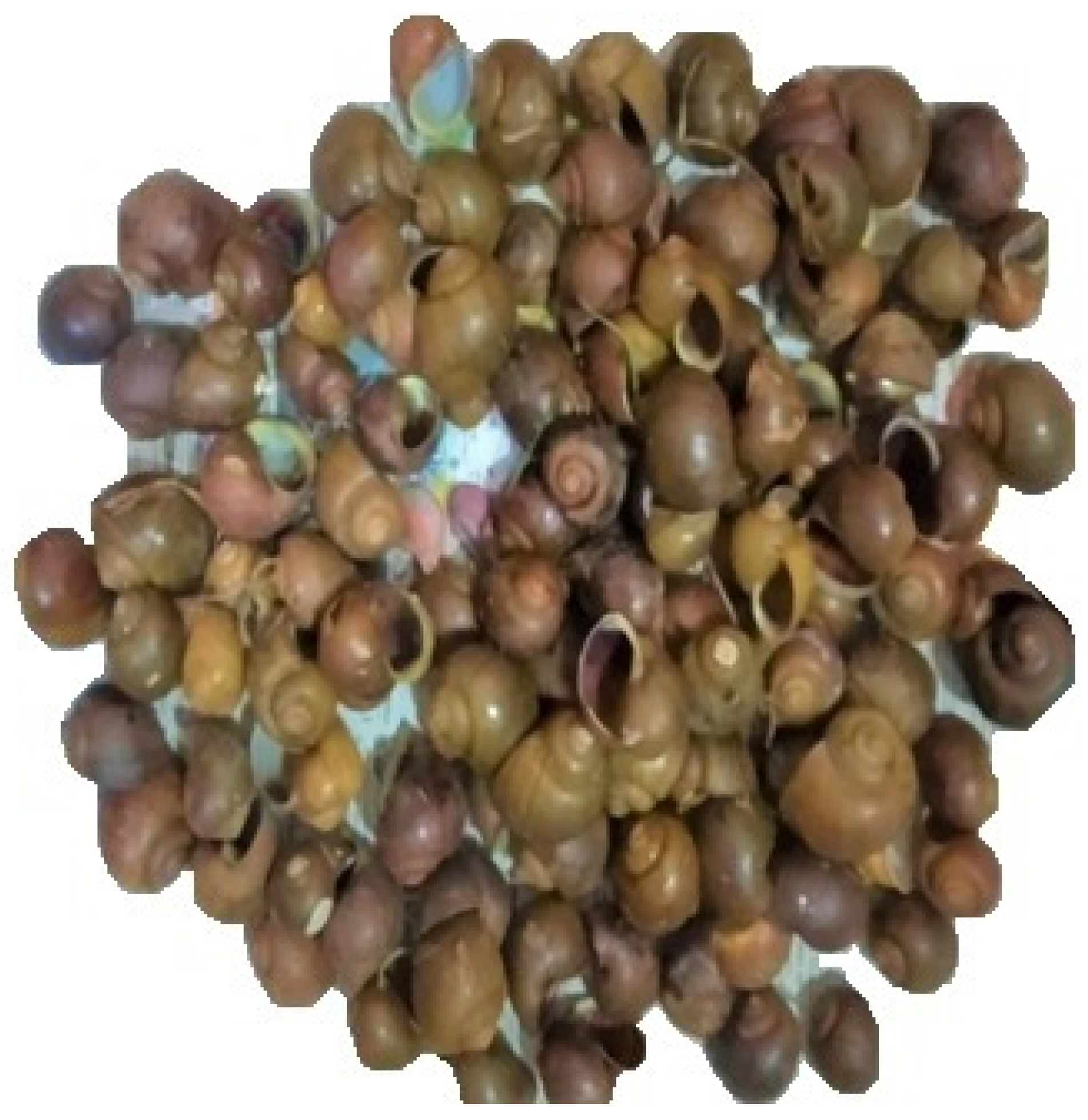 Coatings 12 00794 g001