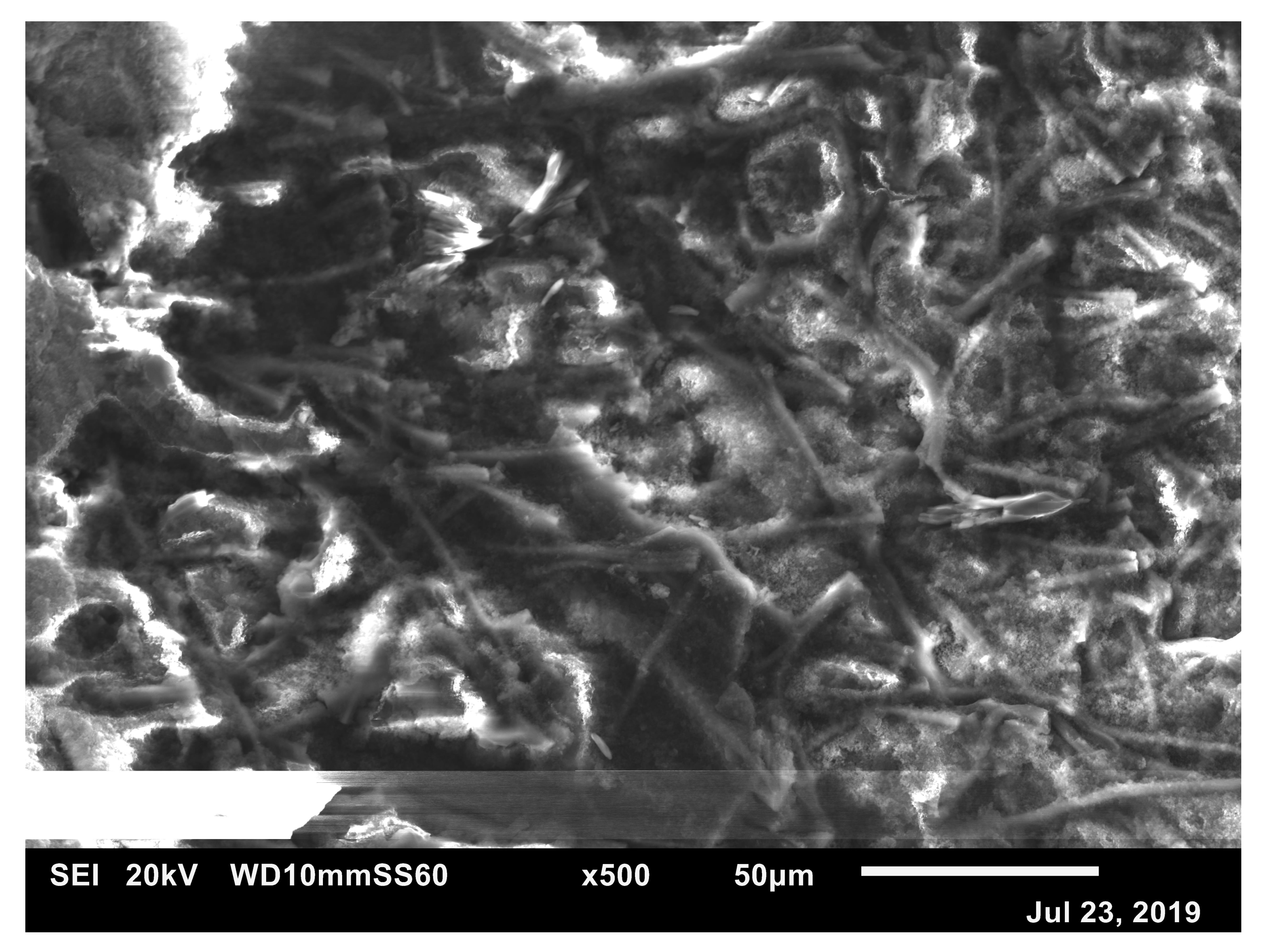 Coatings 12 00798 g003