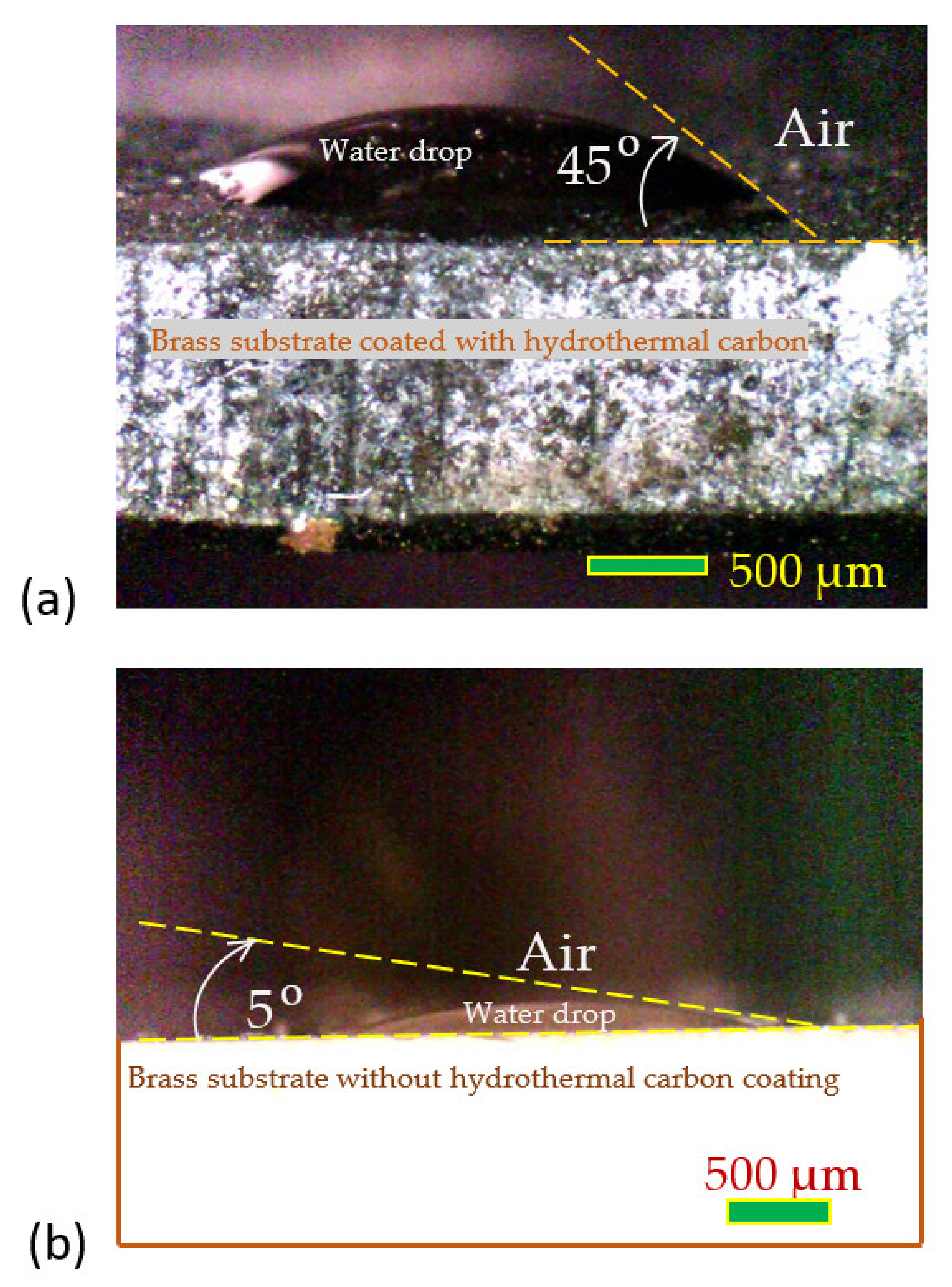 Coatings 12 00798 g005