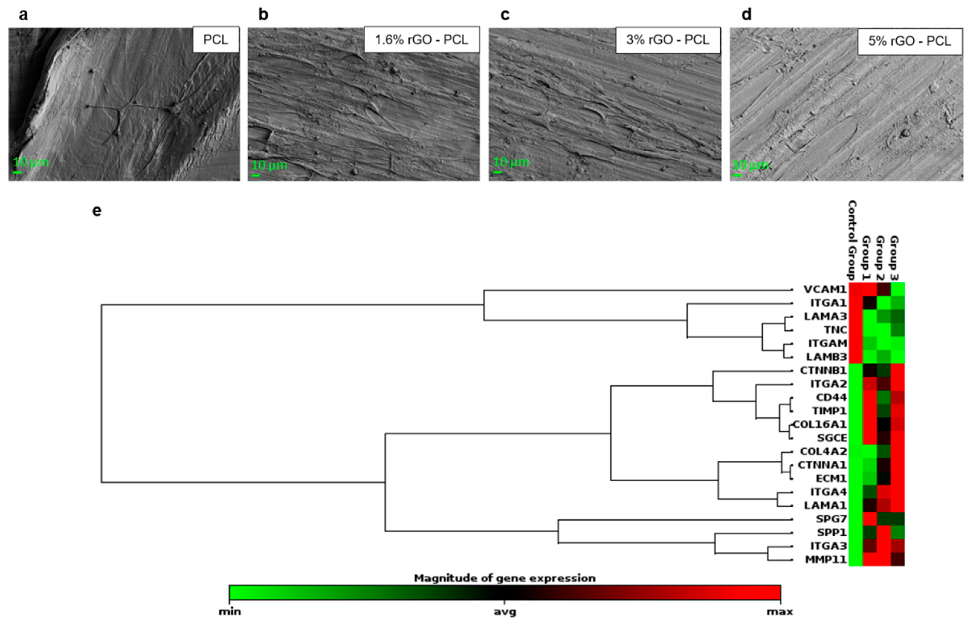 Coatings 12 00799 g003