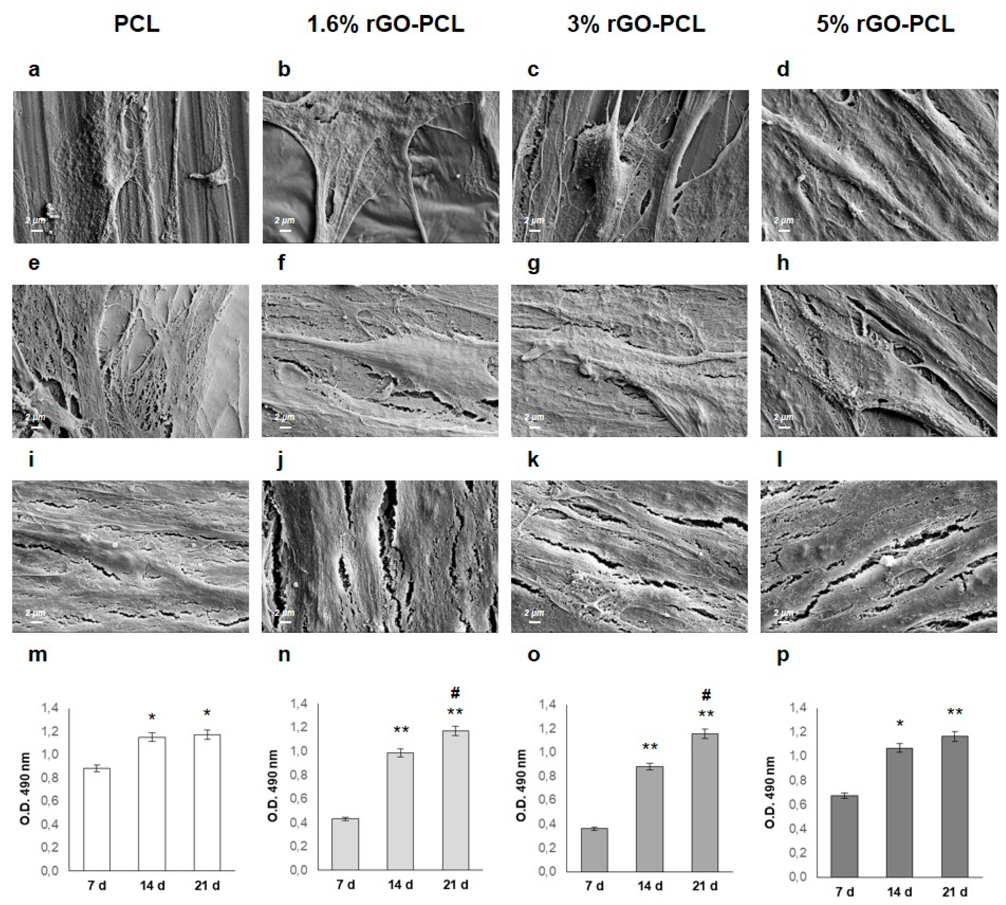 Coatings 12 00799 g004