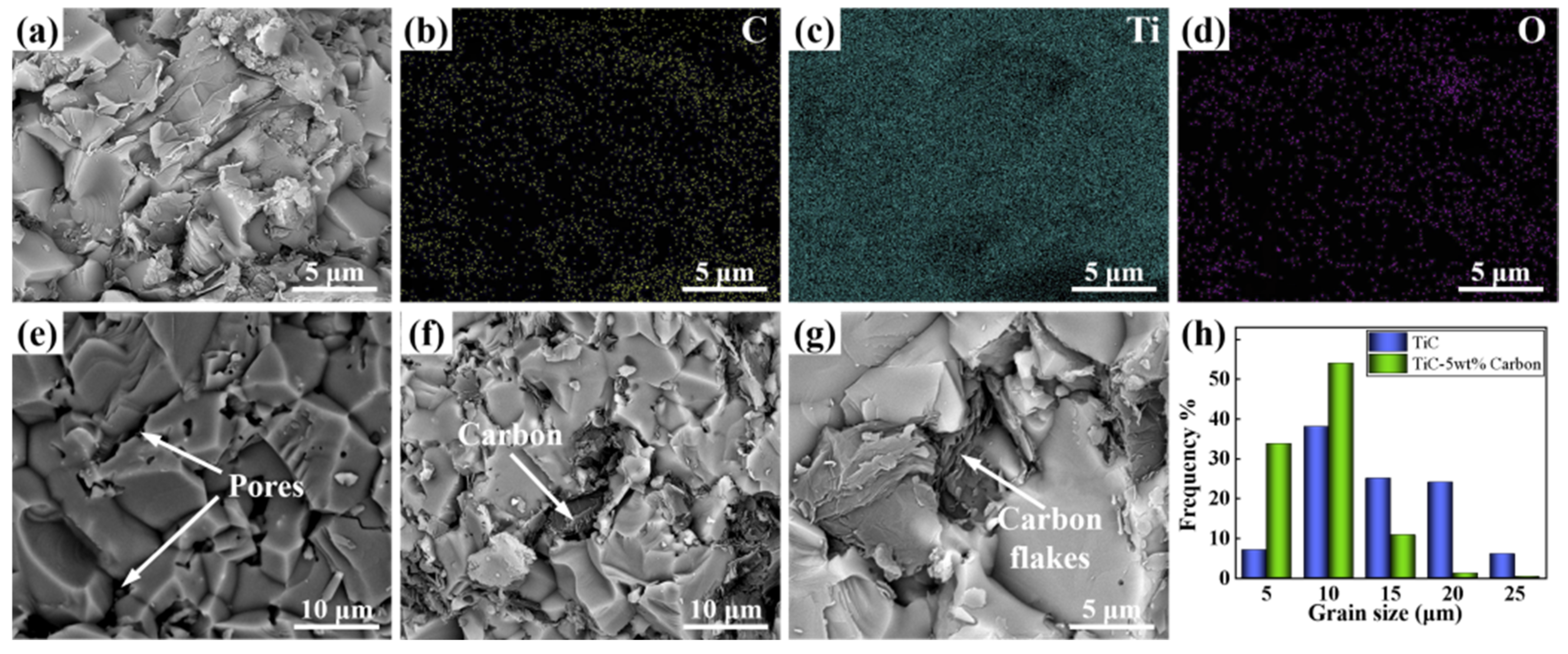 Coatings 12 00801 g005 550