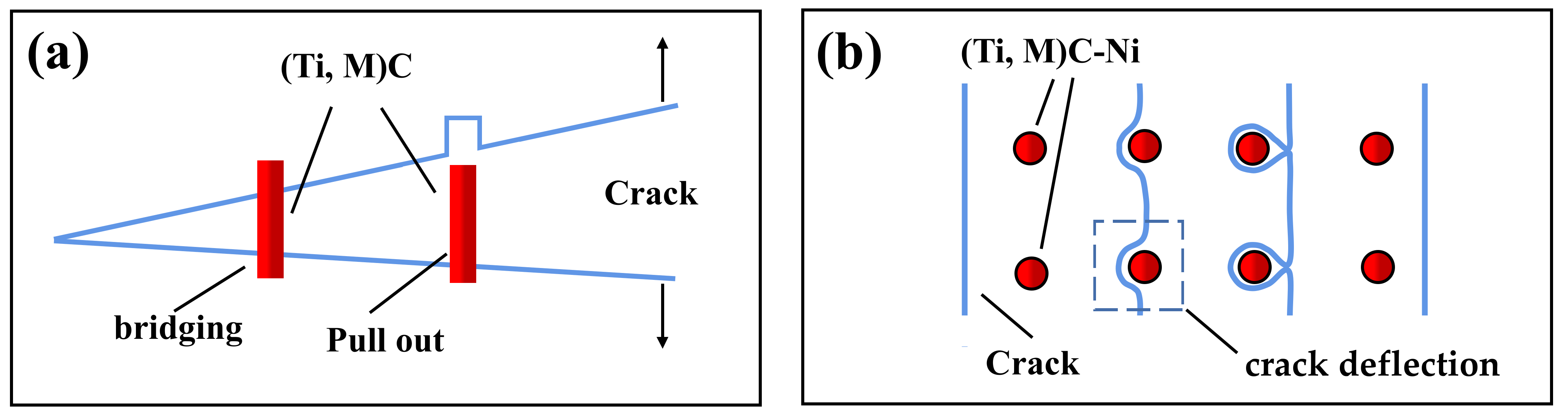 Coatings 12 00801 g011 550