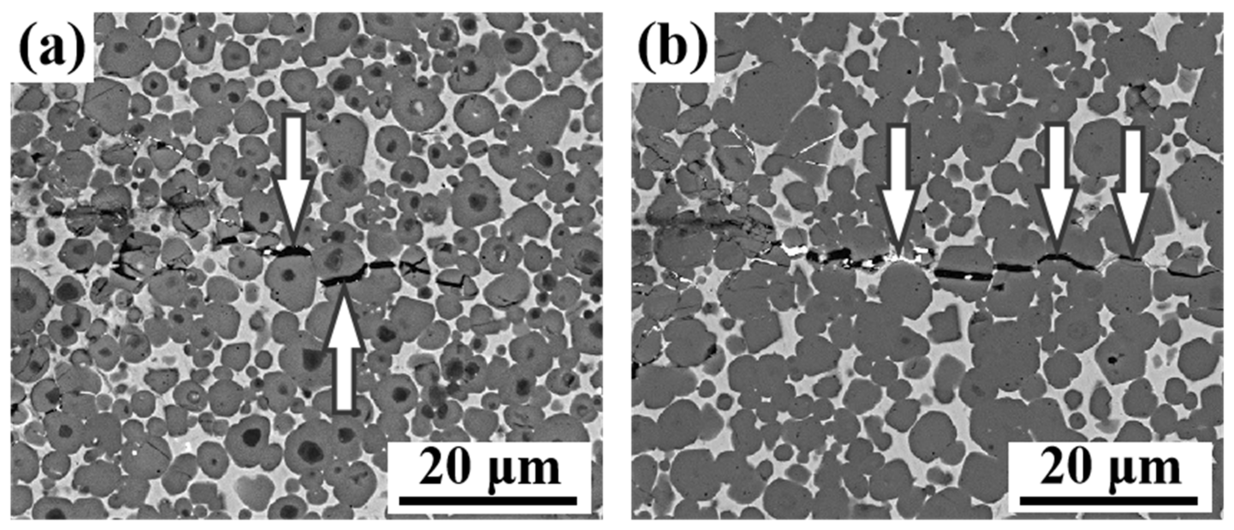 Coatings 12 00801 g012 550