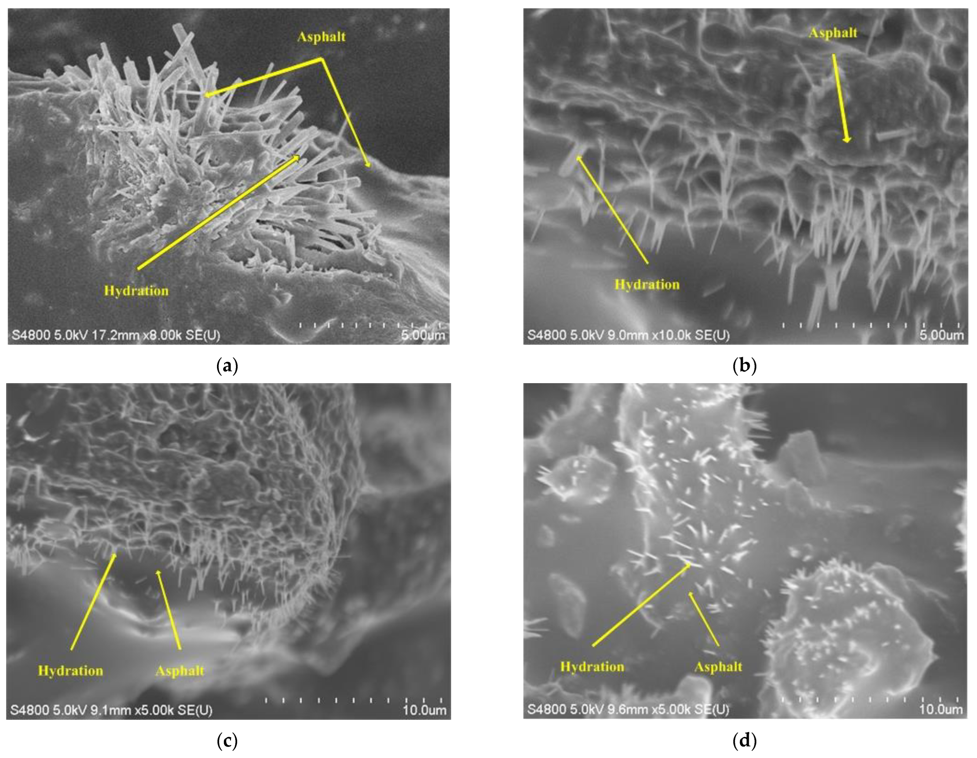 Coatings 12 00802 g008