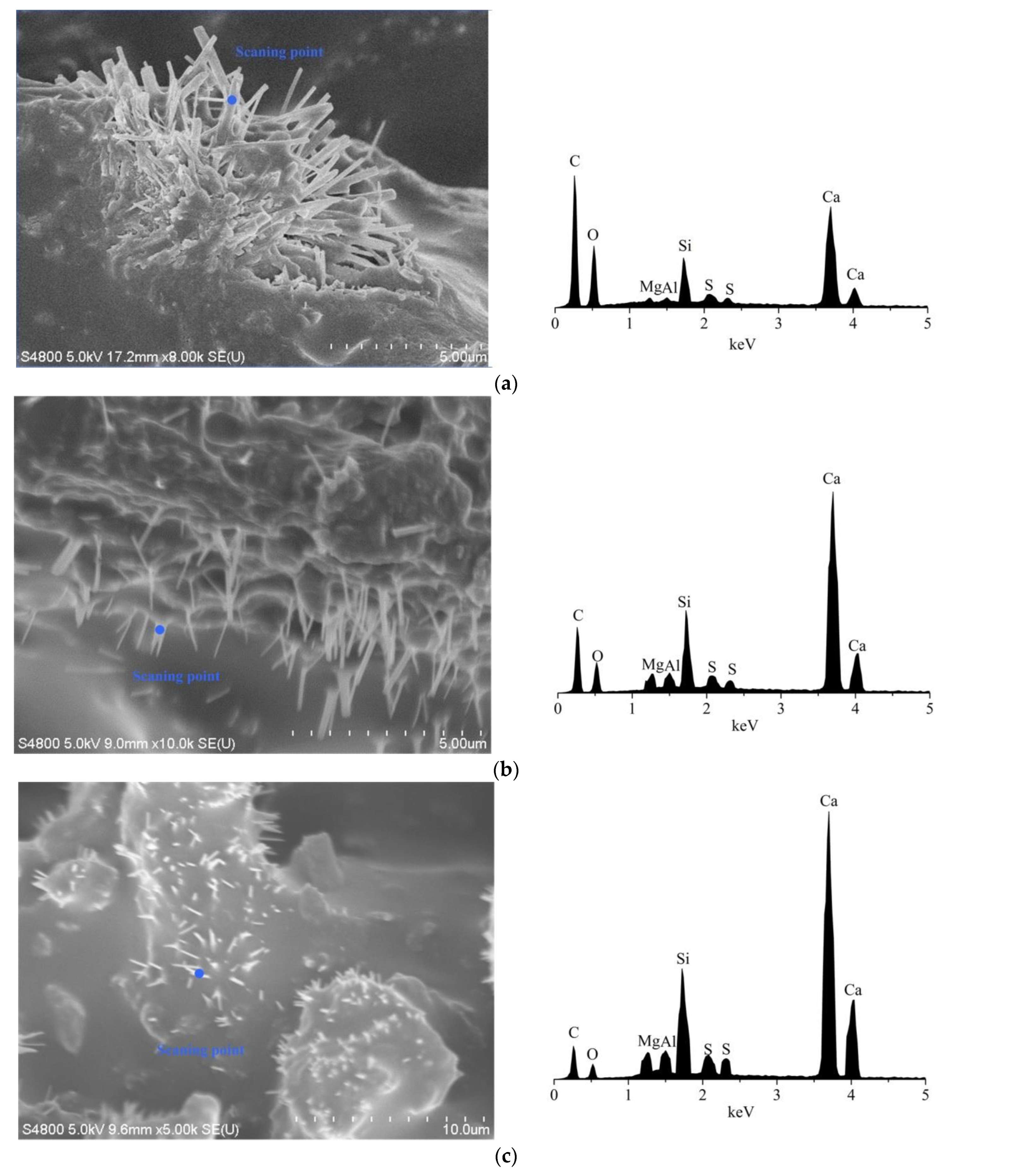 Coatings 12 00802 g009
