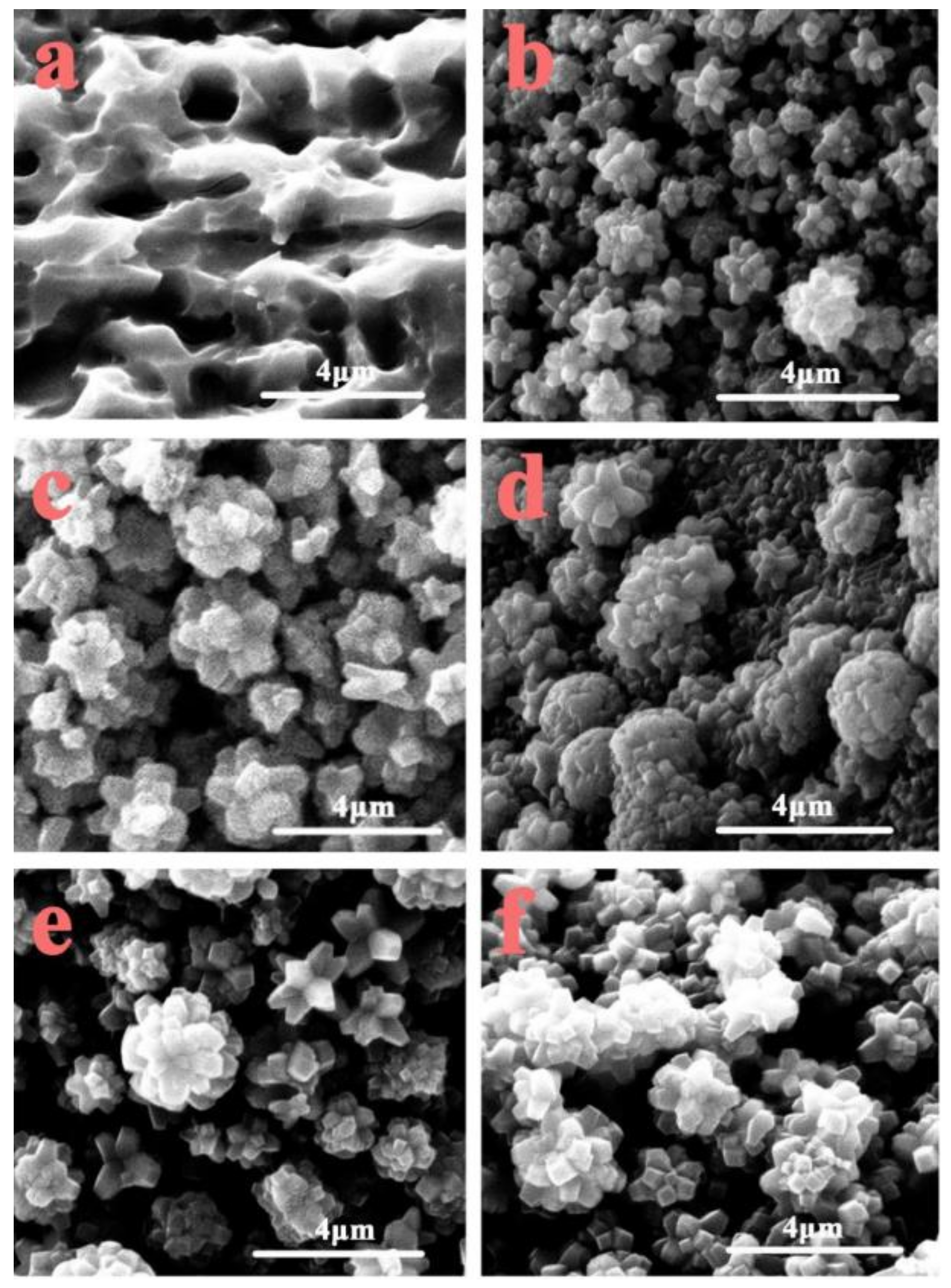 Coatings 12 00805 g001