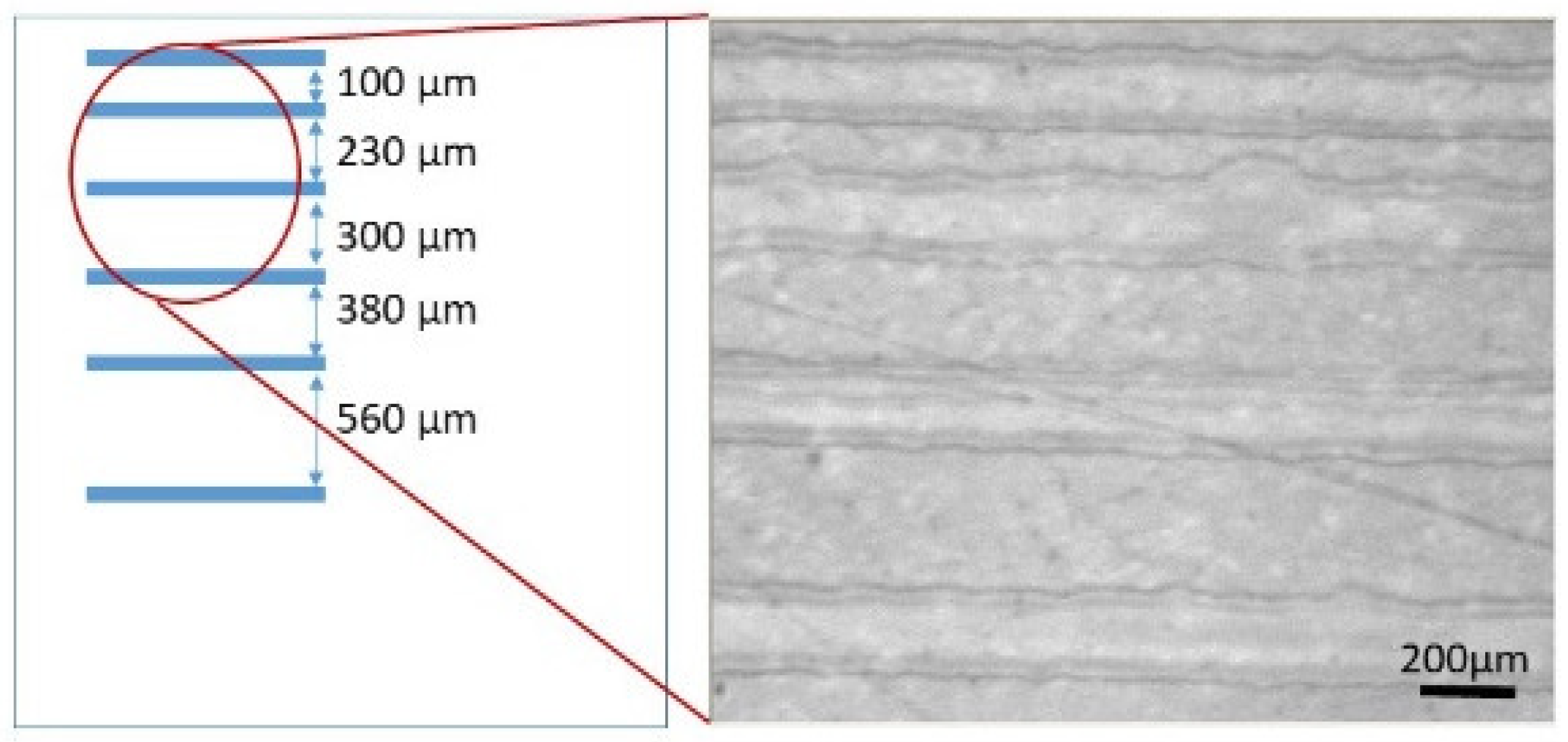 Coatings 12 00806 g004