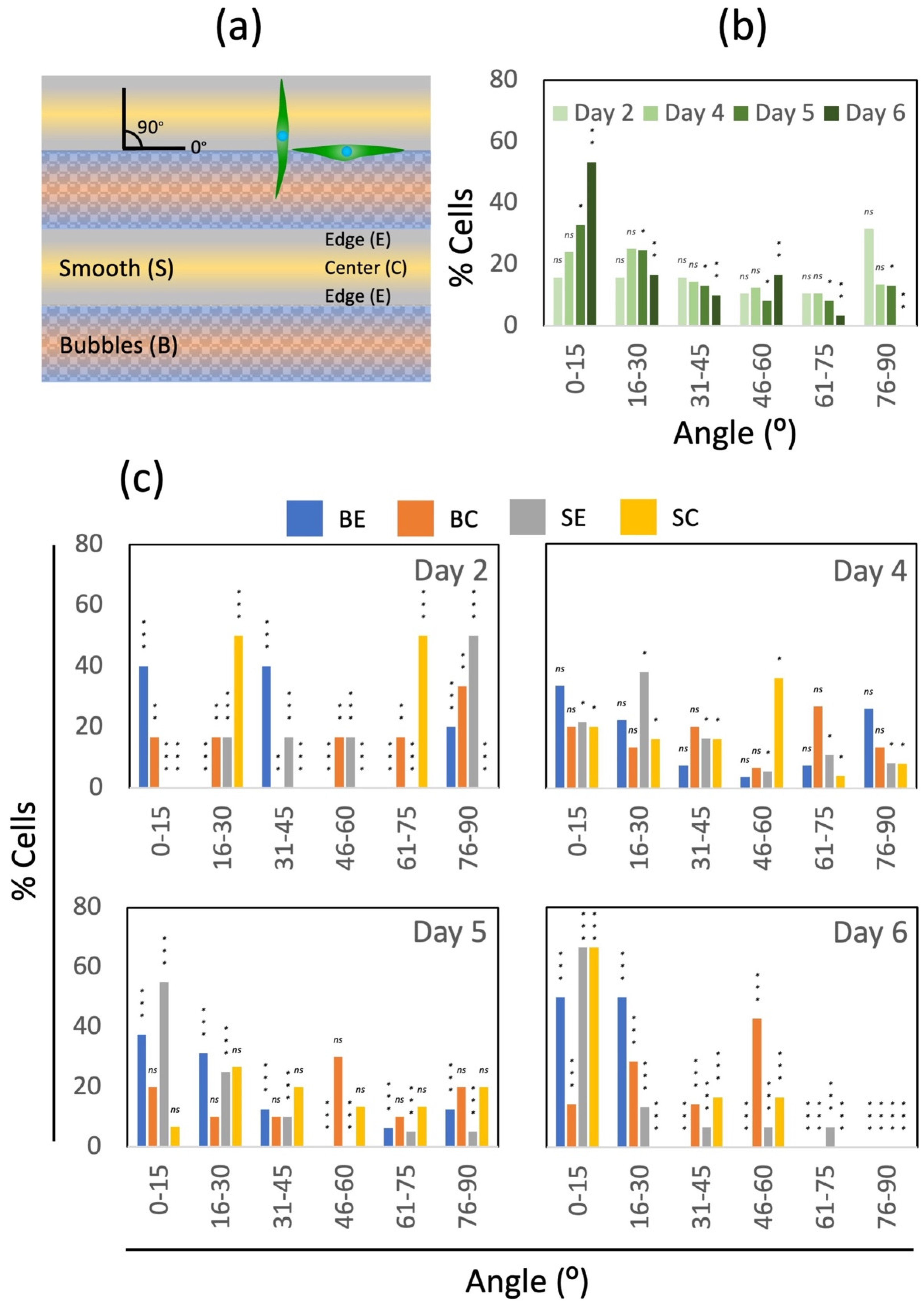 Coatings 12 00806 g007