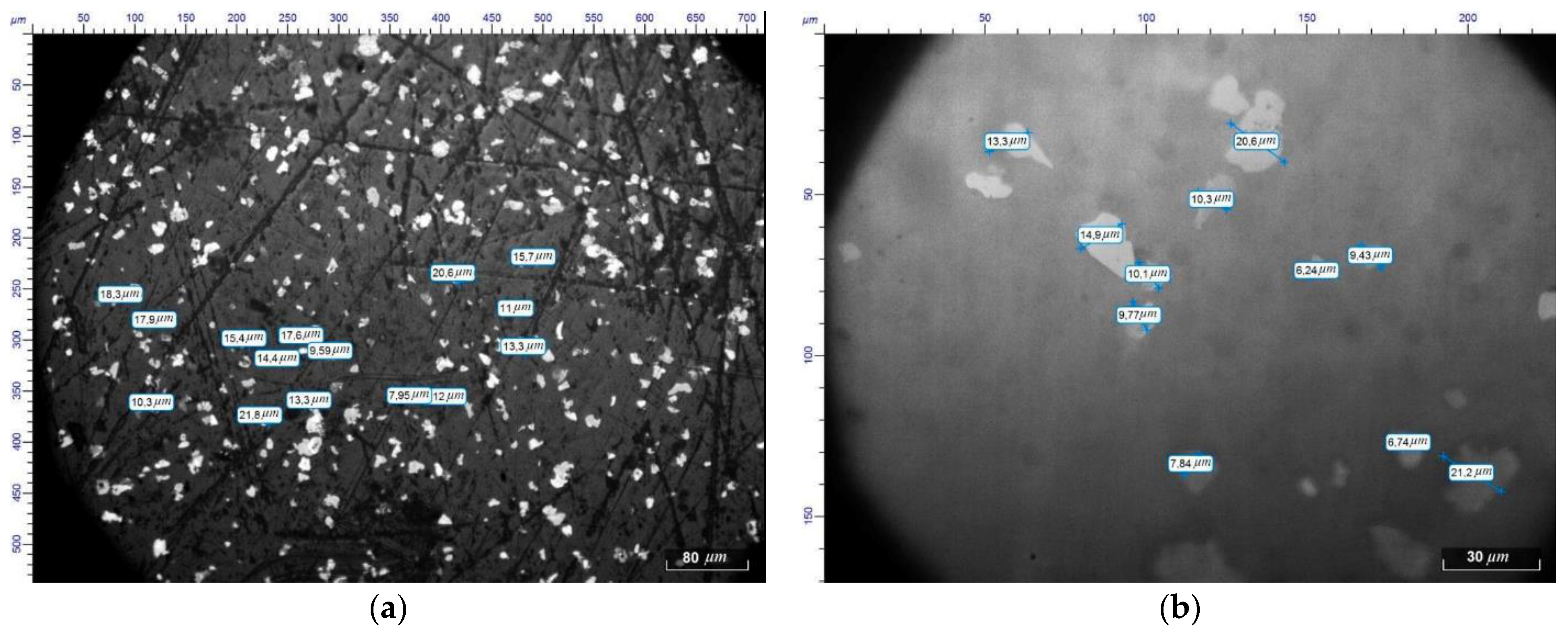 Coatings 12 00807 g015