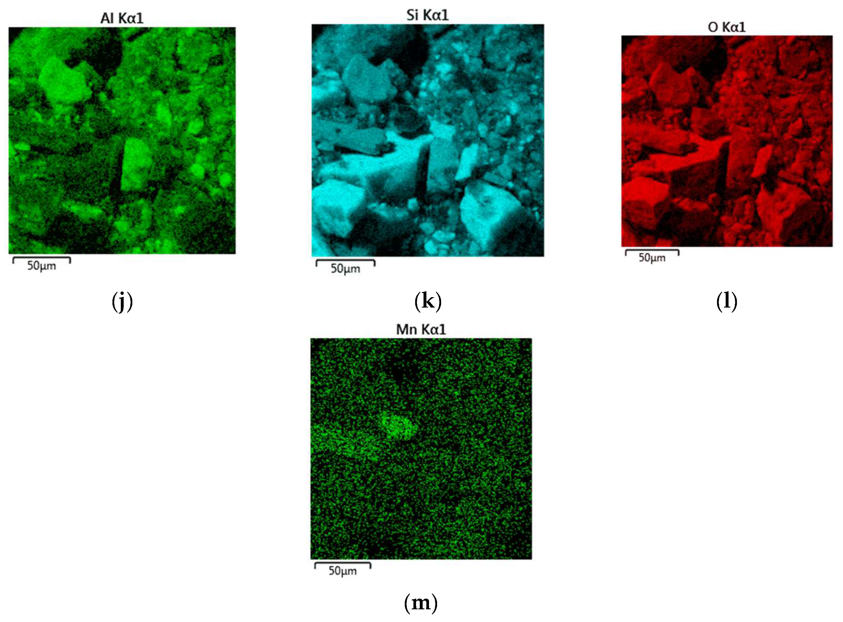 Coatings 12 00807 g021b