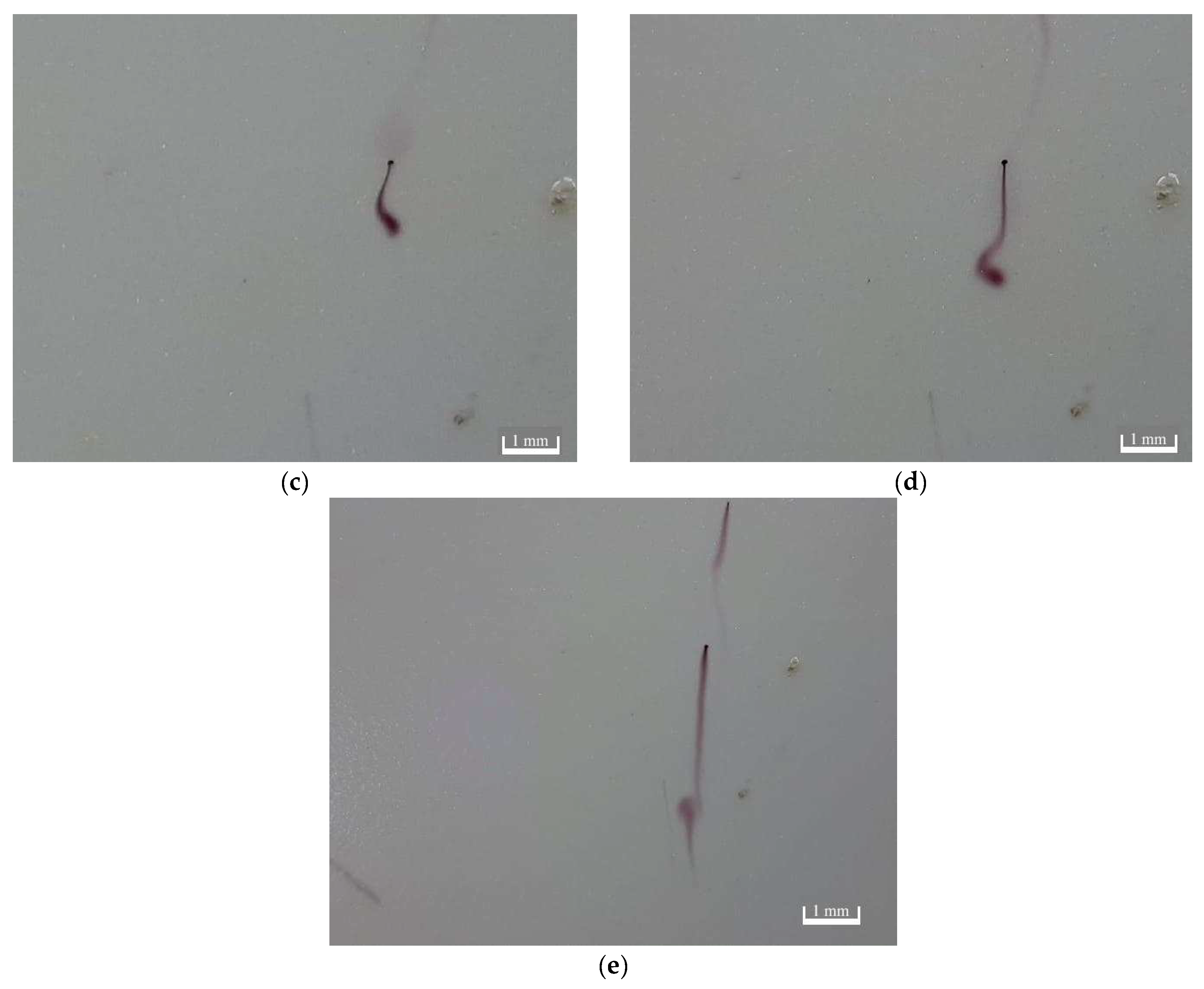 Coatings 12 00807 g023b