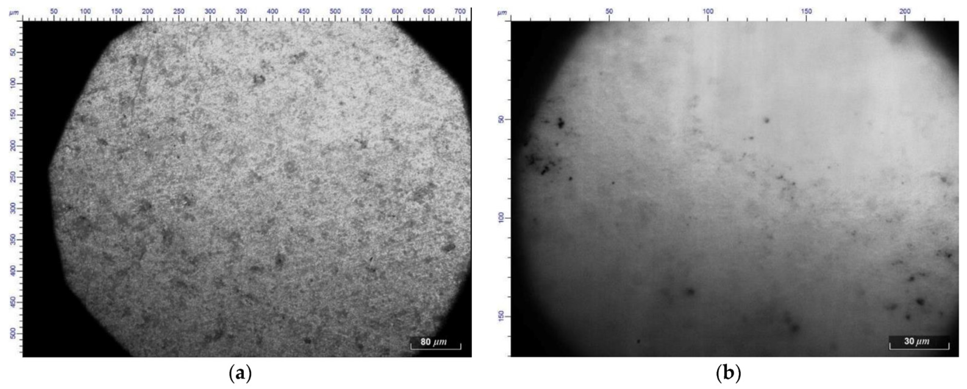 Coatings 12 00807 g024