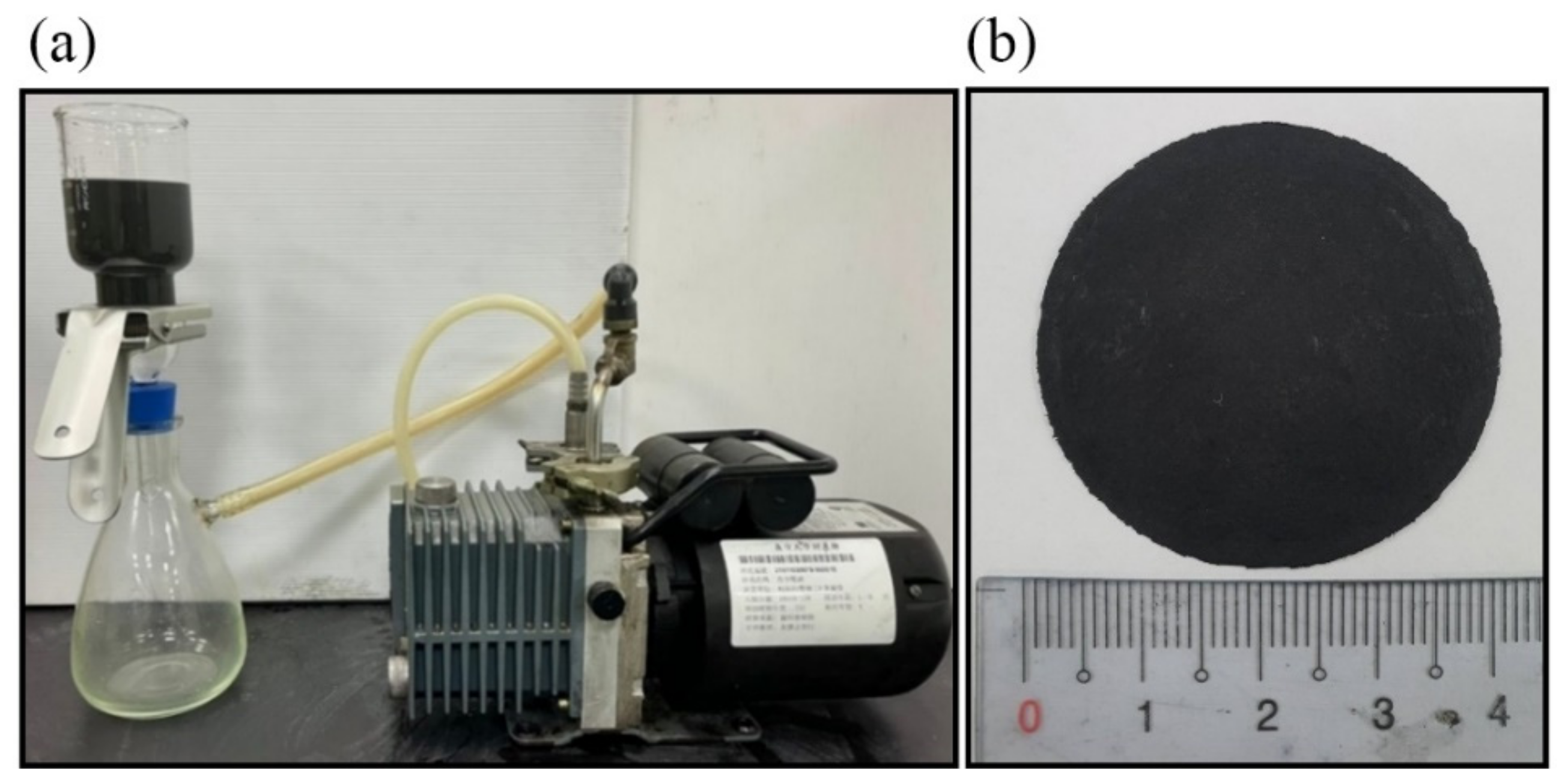 Coatings 12 00810 g001 550