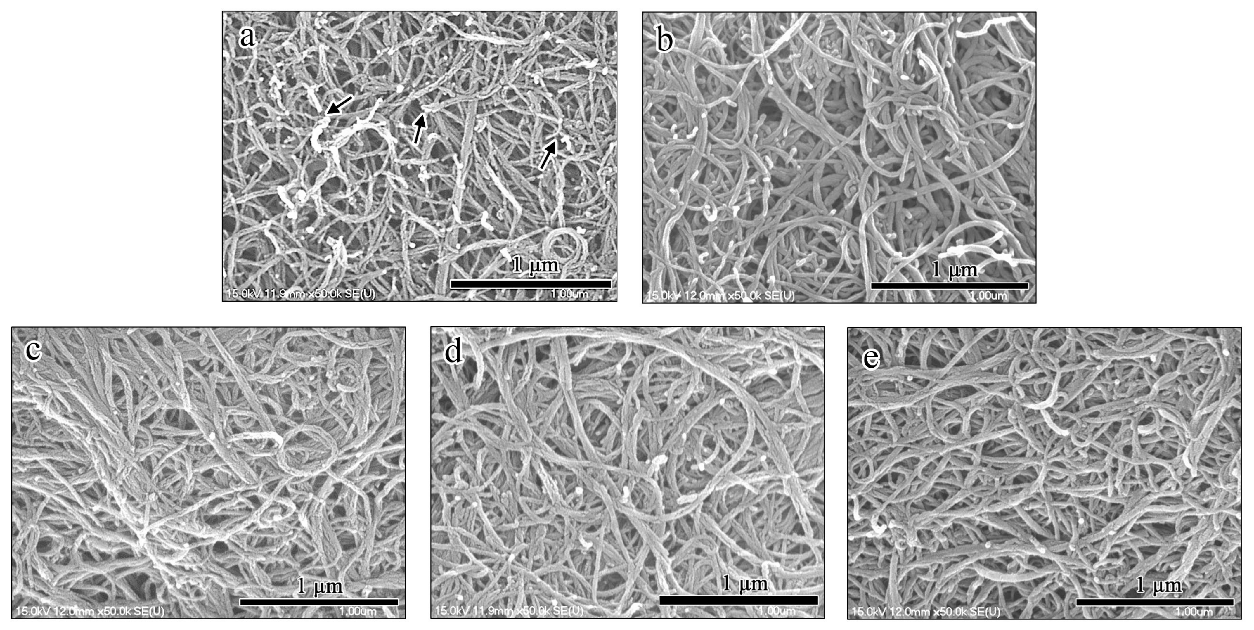 Coatings 12 00810 g006 550