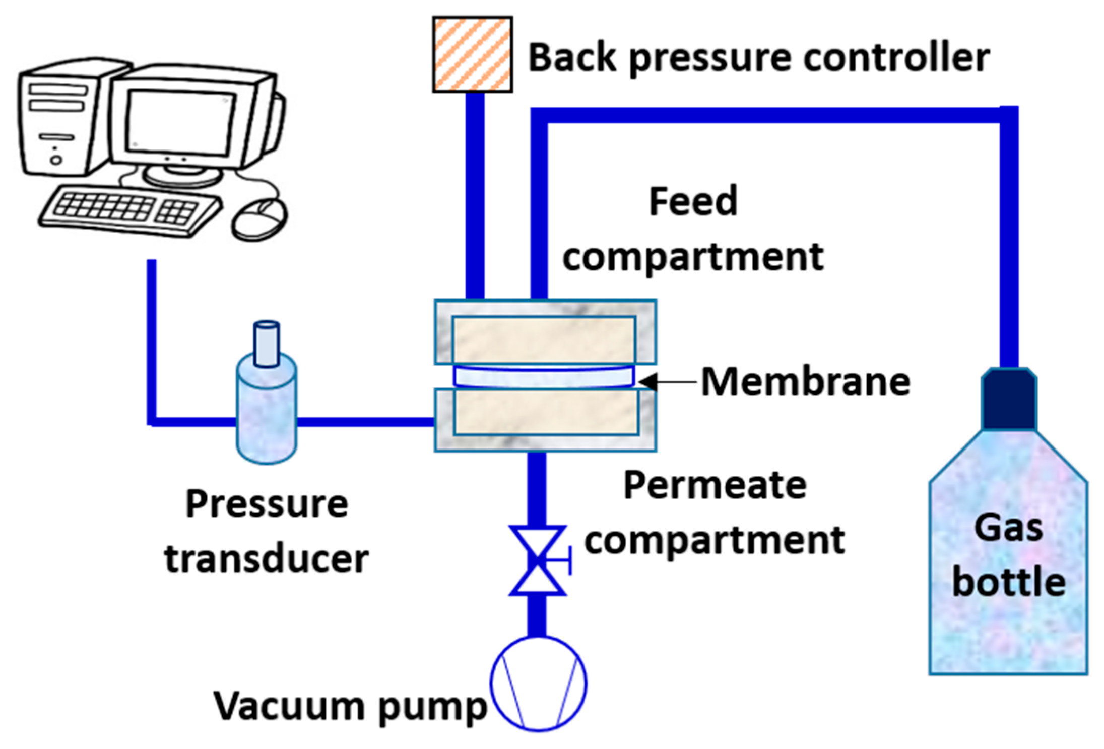 Coatings 12 00813 g001