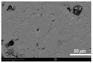 Coatings 12 00813 i009