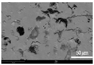 Coatings 12 00813 i013