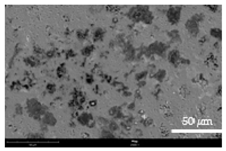 Coatings 12 00813 i014