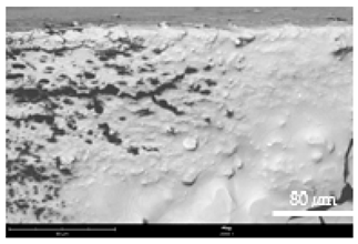 Coatings 12 00813 i016