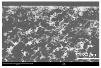 Coatings 12 00813 i020