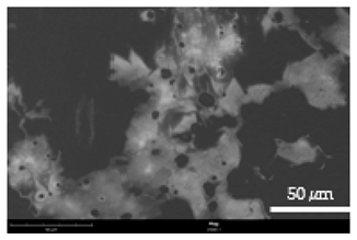 Coatings 12 00813 i022