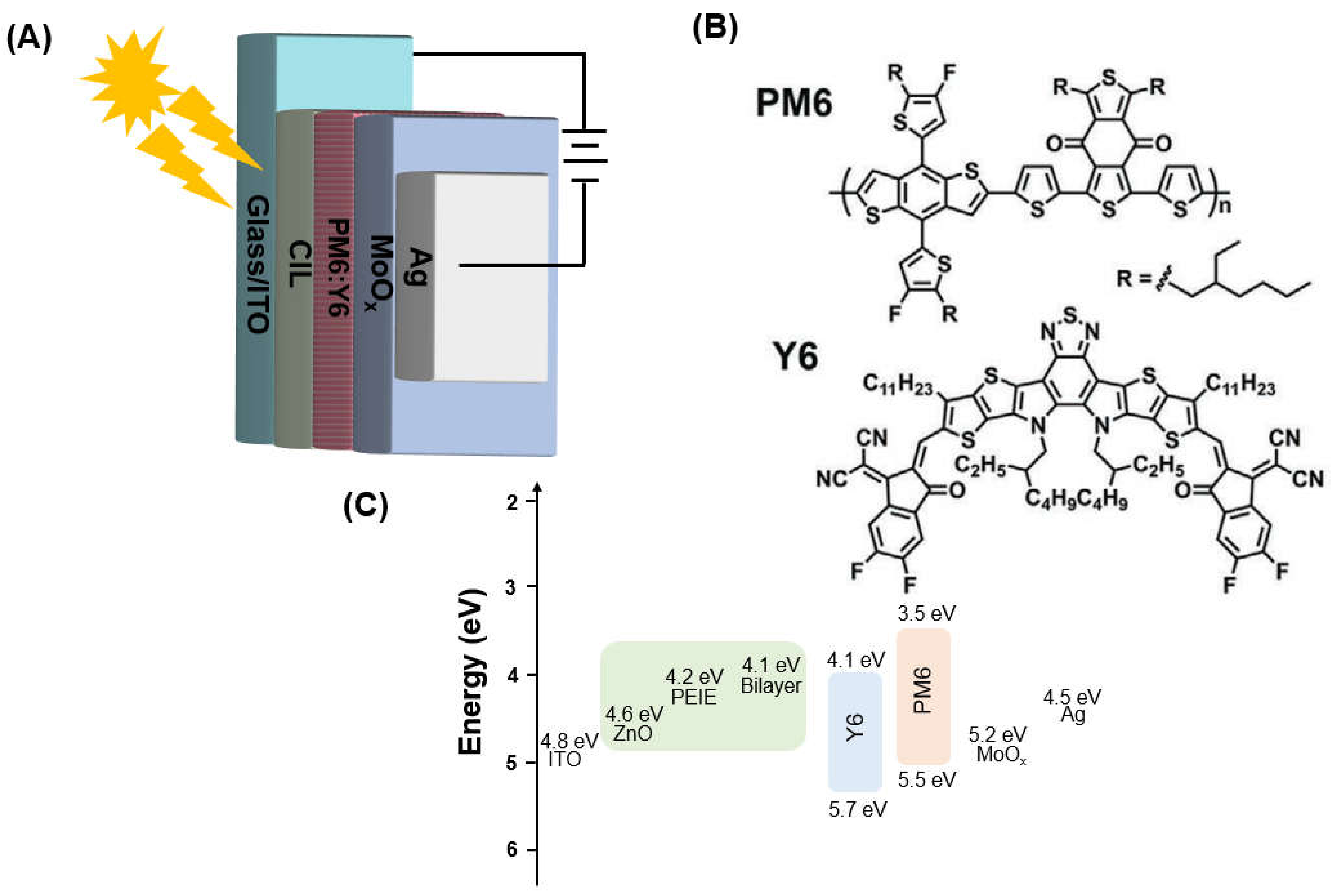 Coatings 12 00816 g002