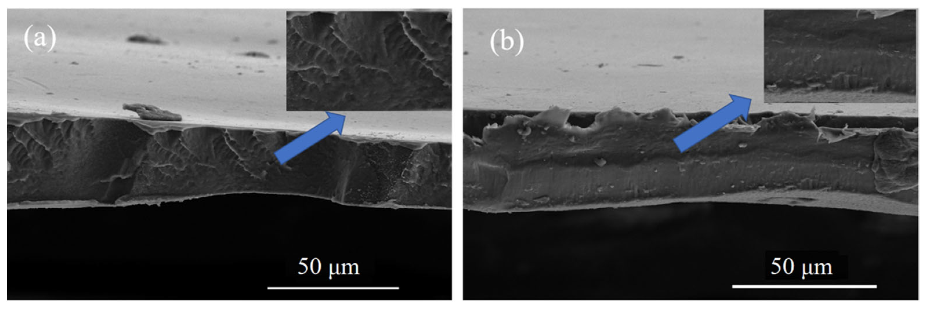 Coatings 12 00820 g004