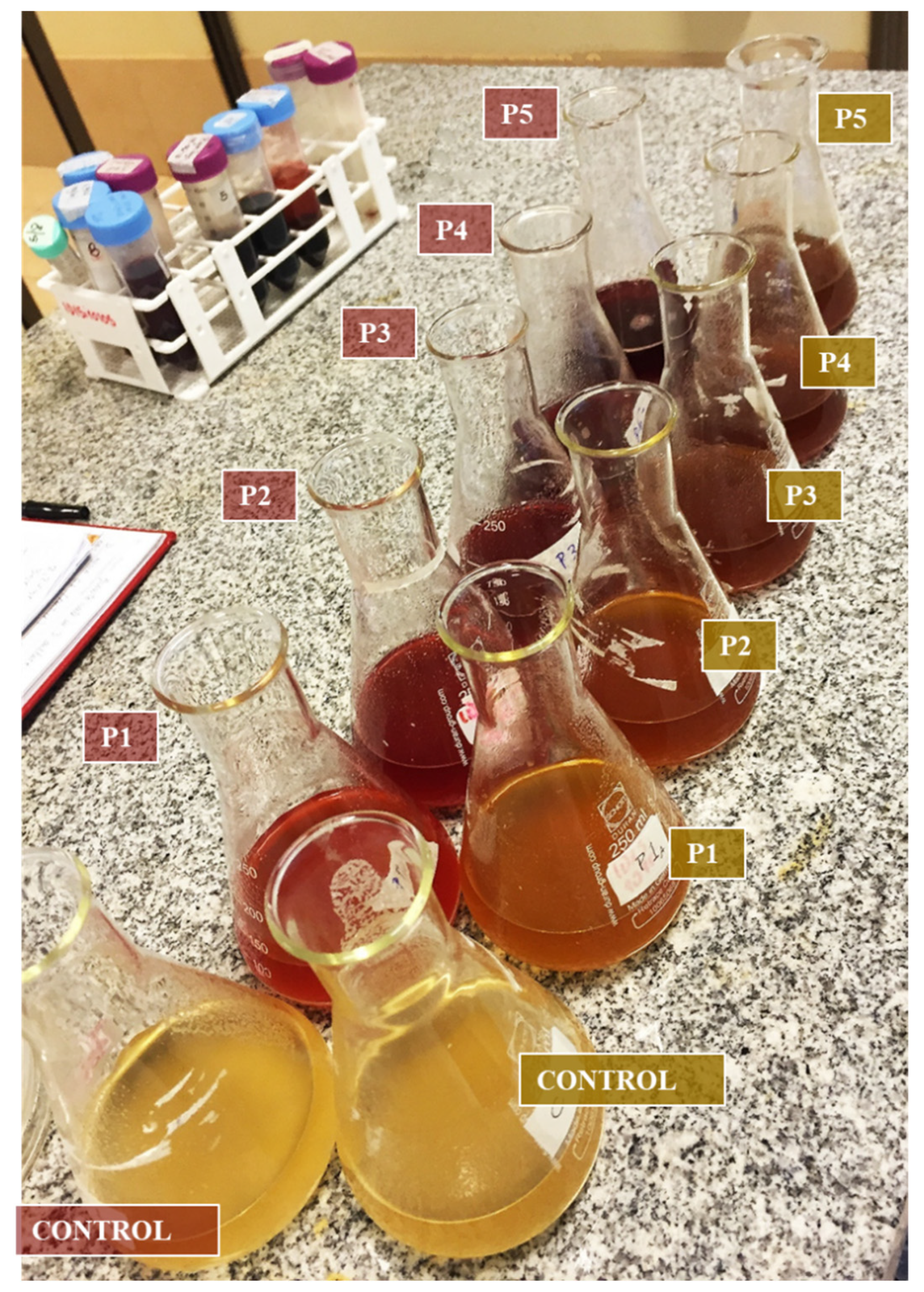 Coatings 12 00821 g001 Coatings 12 00821 g001