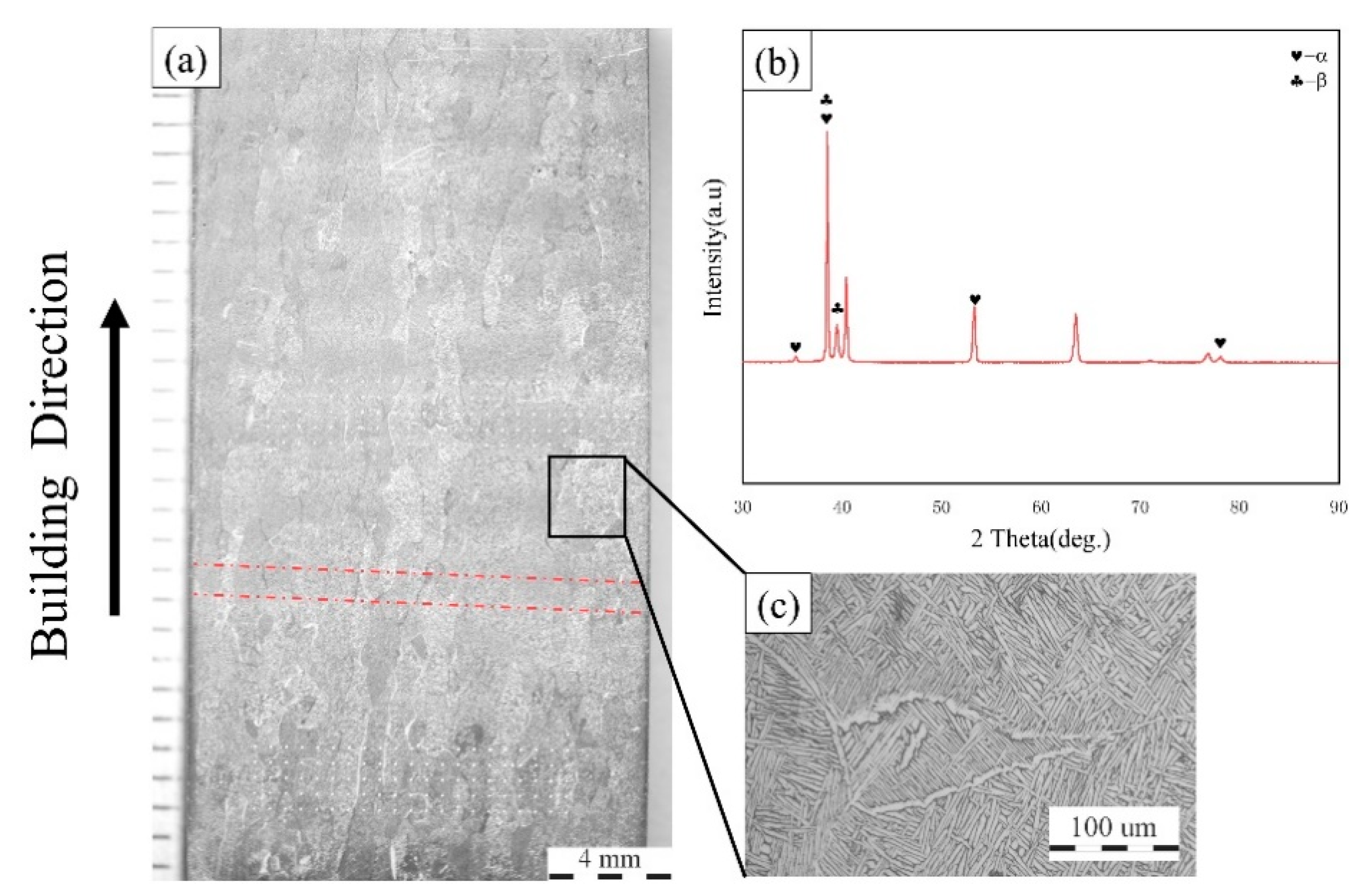 Coatings 12 00822 g004