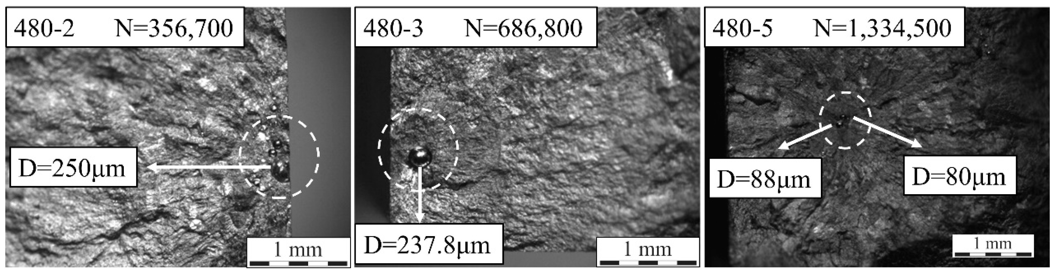 Coatings 12 00822 g010