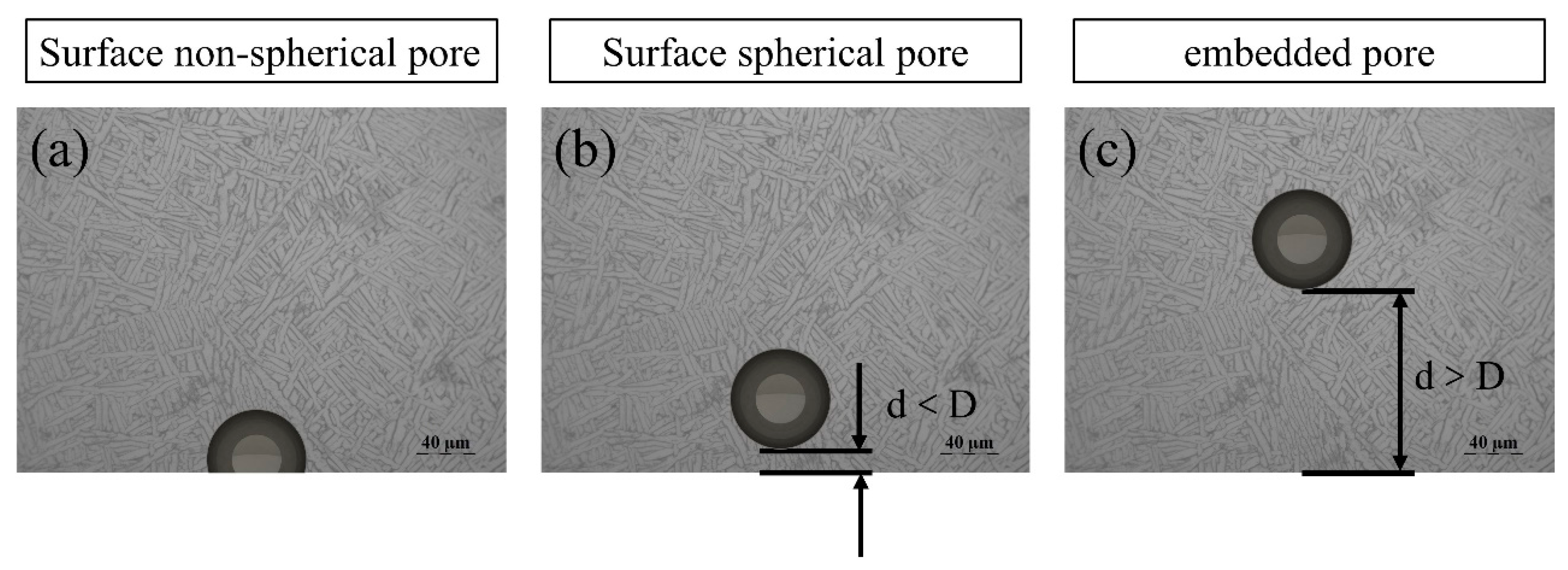 Coatings 12 00822 g011