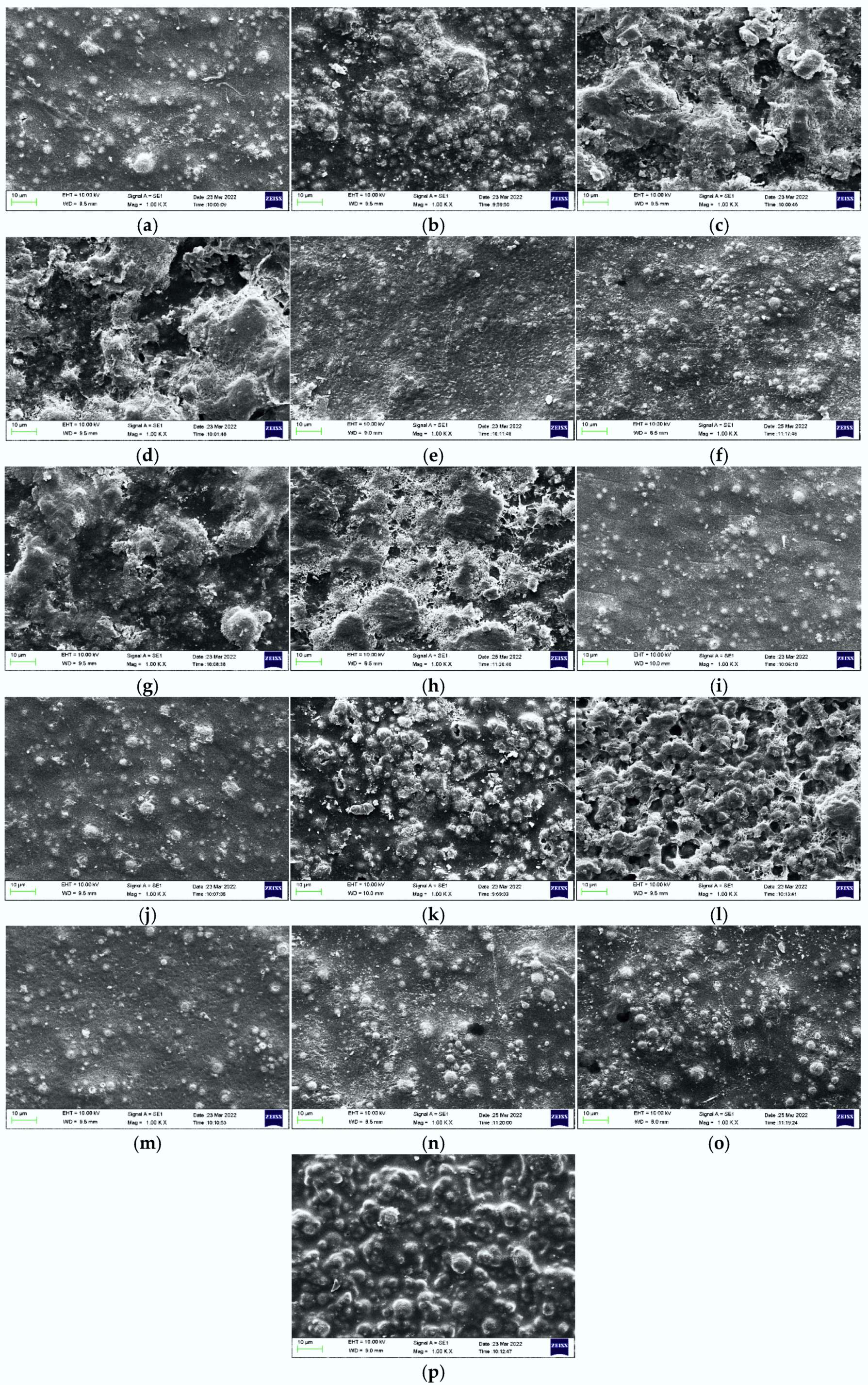 Coatings 12 00824 g004