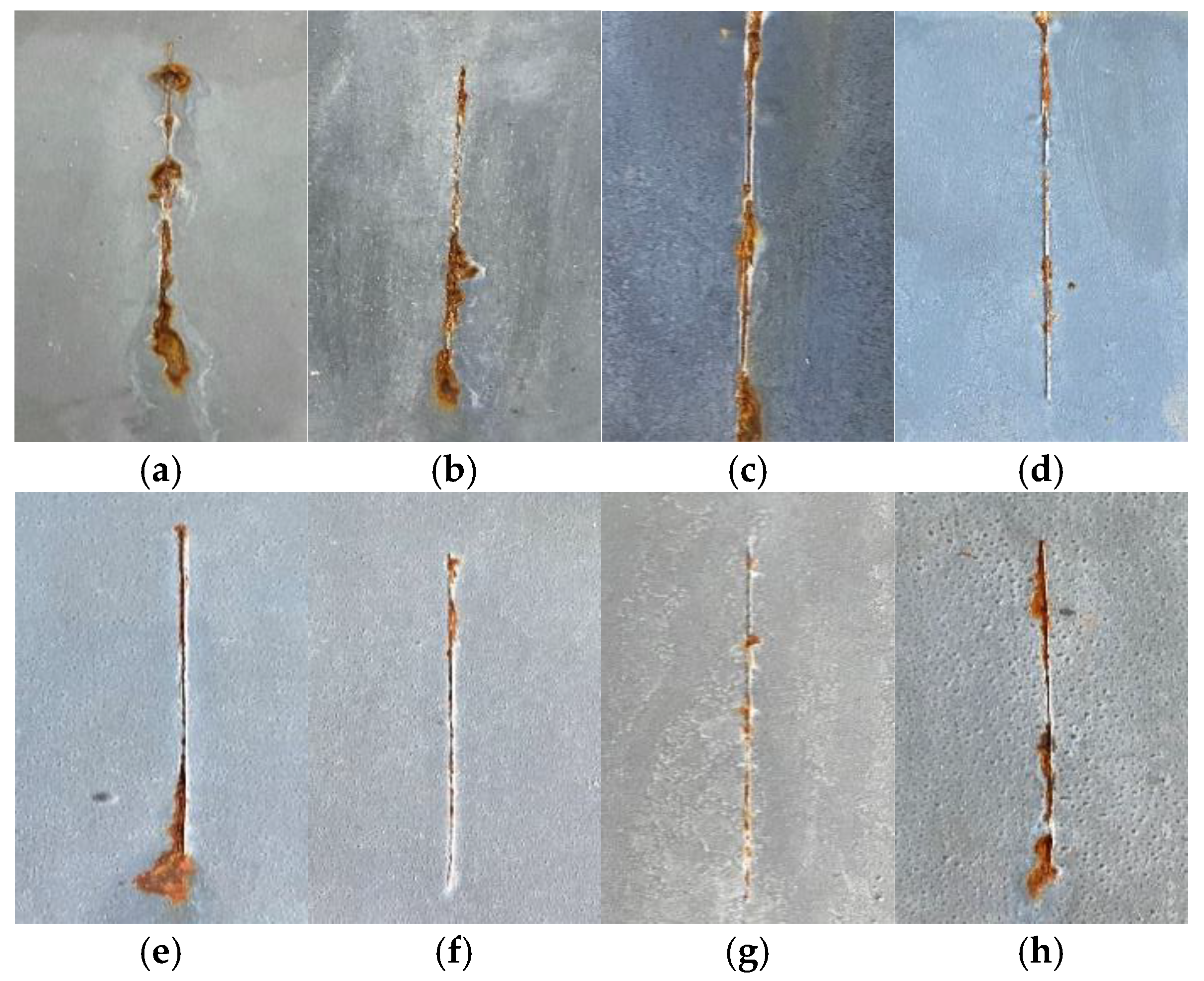 Coatings 12 00824 g006