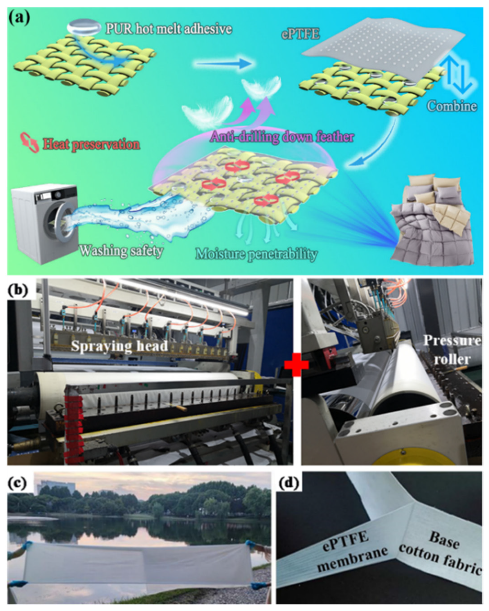Coatings 12 00826 g001