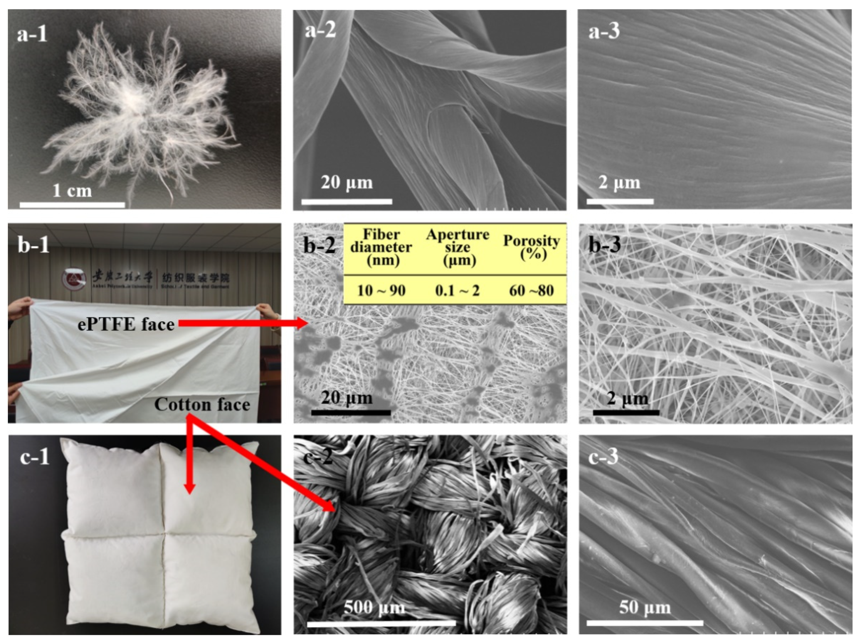 Coatings 12 00826 g002