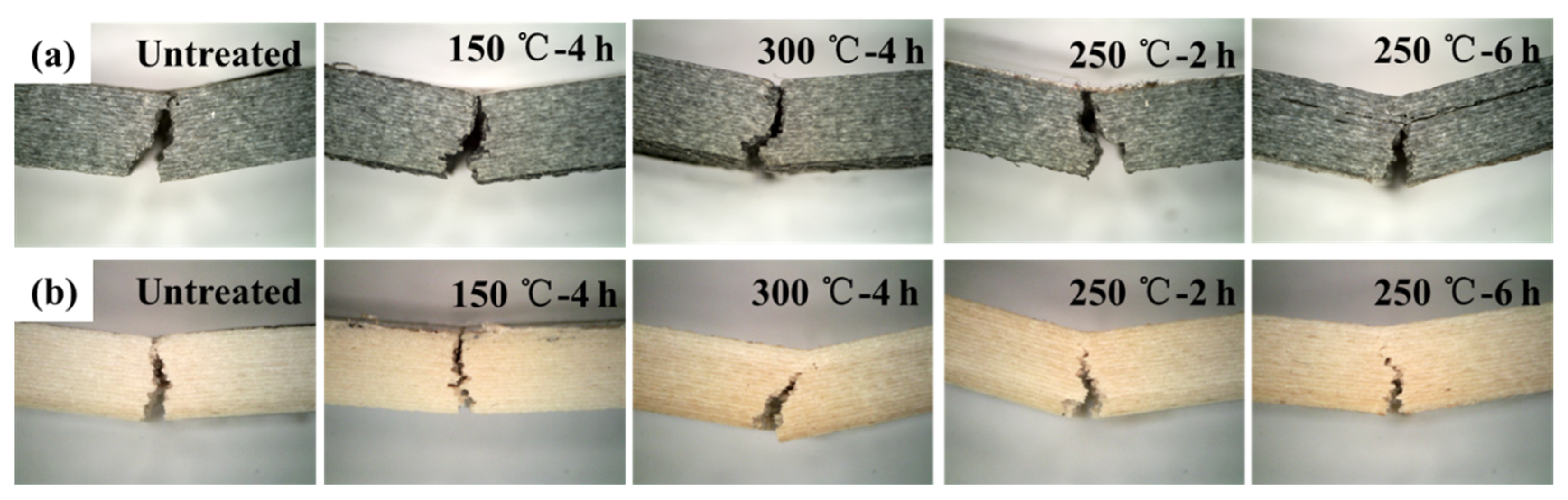 Coatings 12 00827 g006