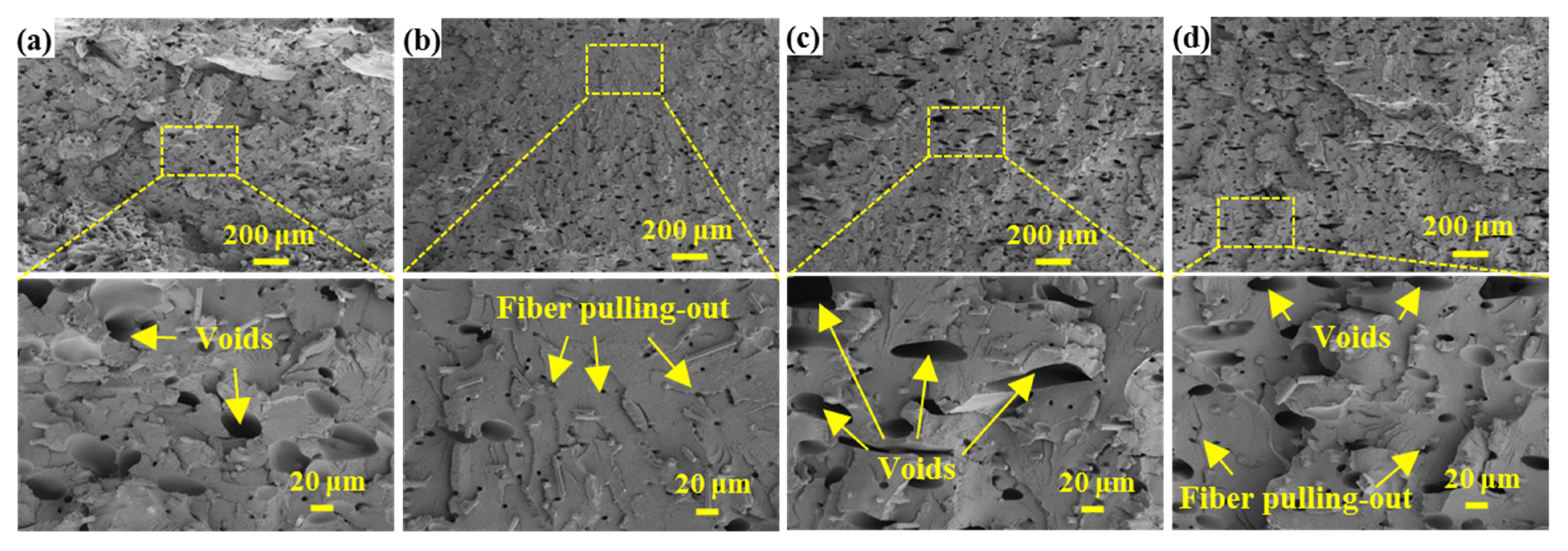 Coatings 12 00827 g007
