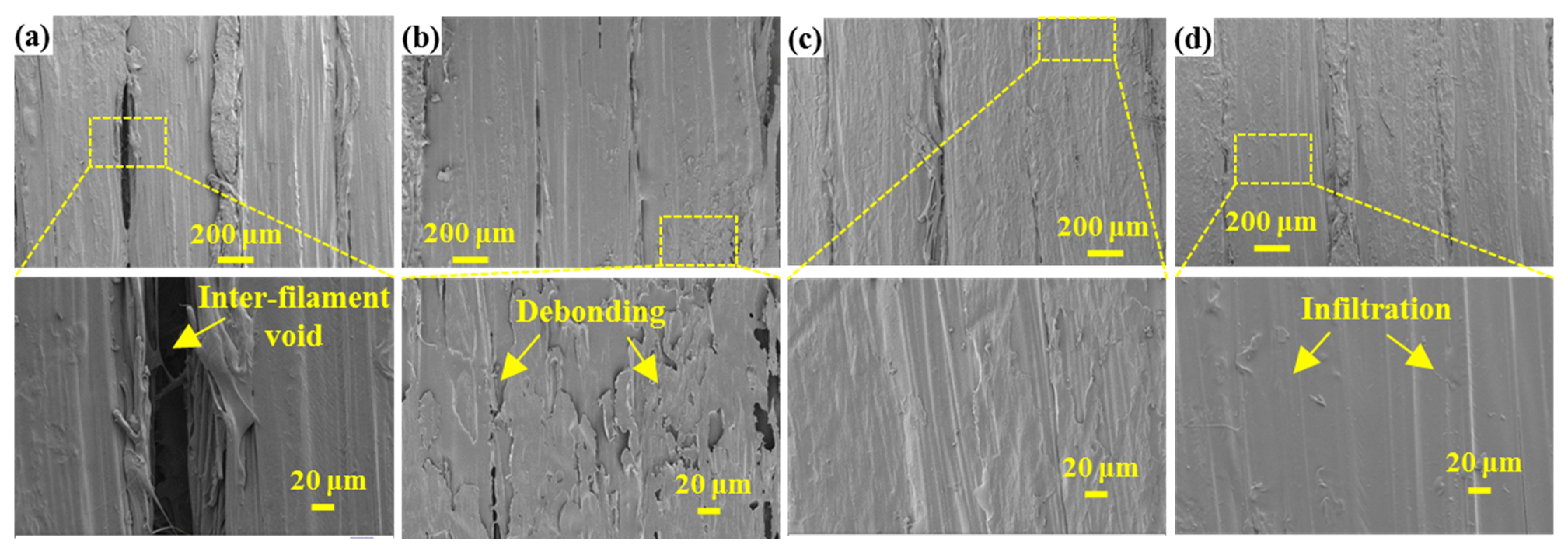 Coatings 12 00827 g013