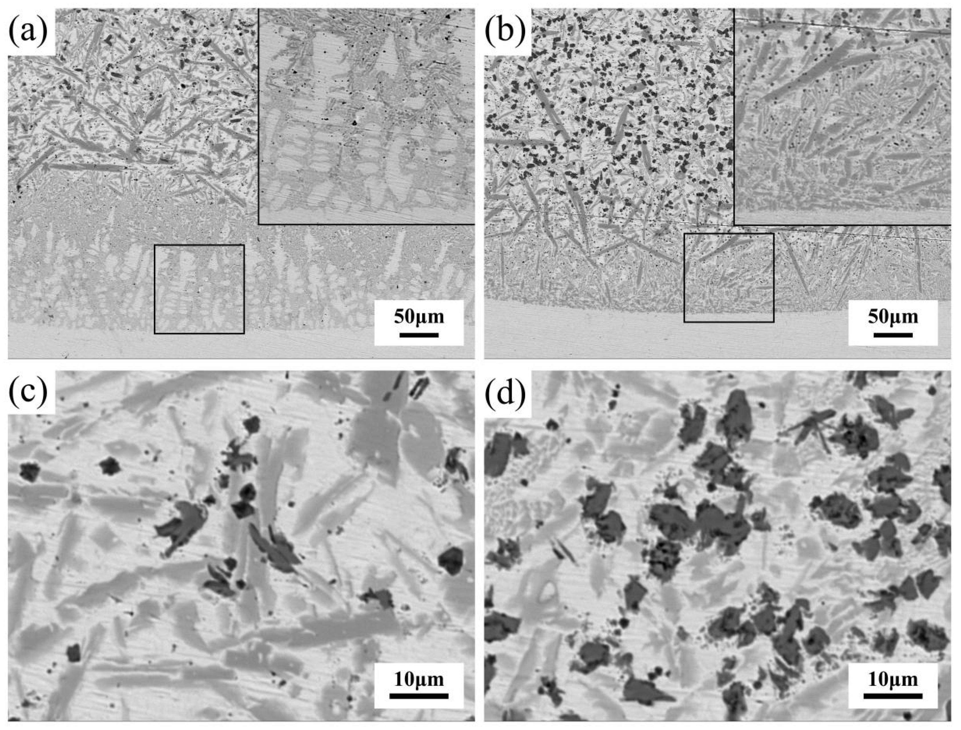 Coatings 12 00829 g006 550