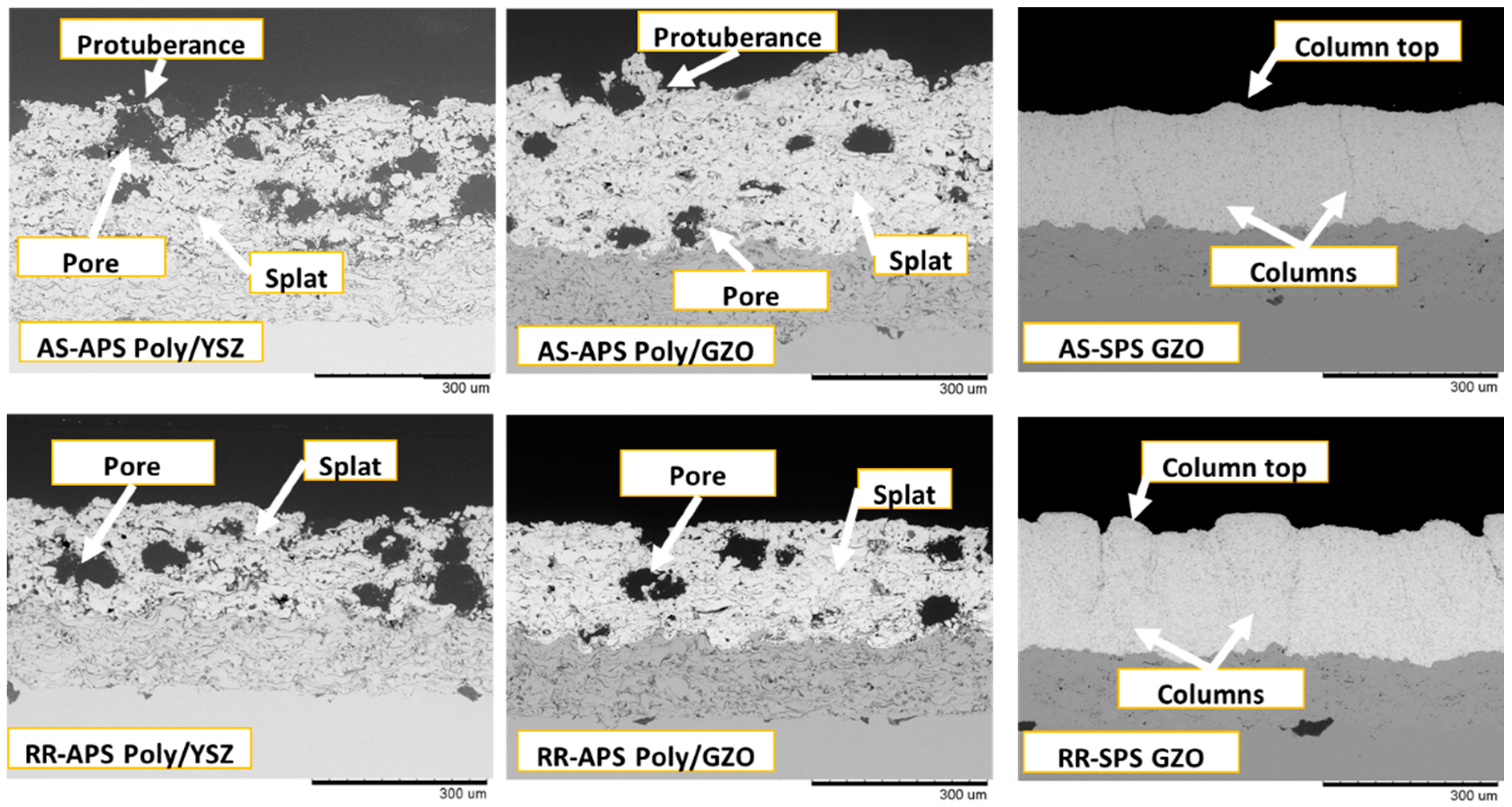 Coatings 12 00830 g004 550