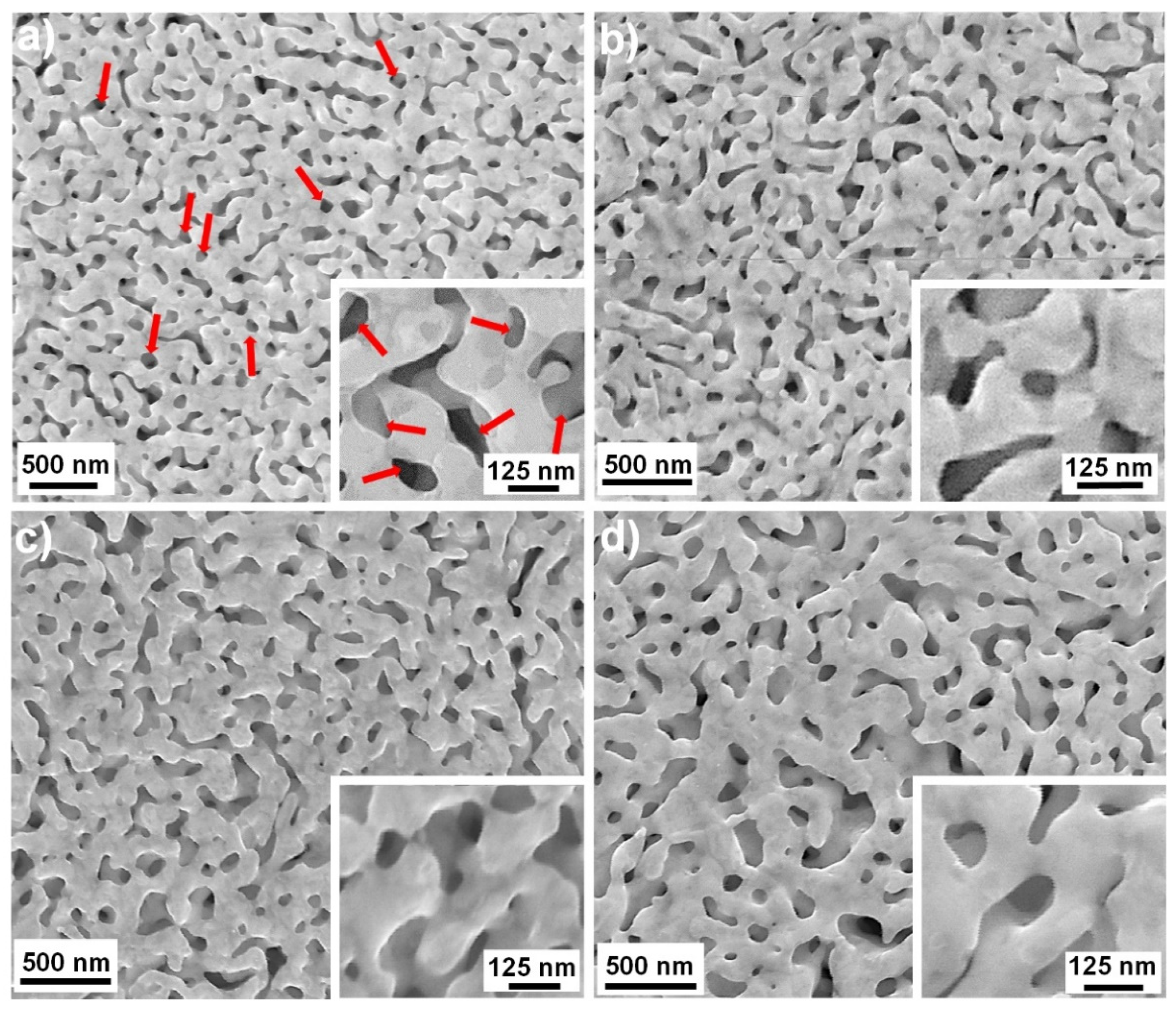 Coatings 12 00831 g003