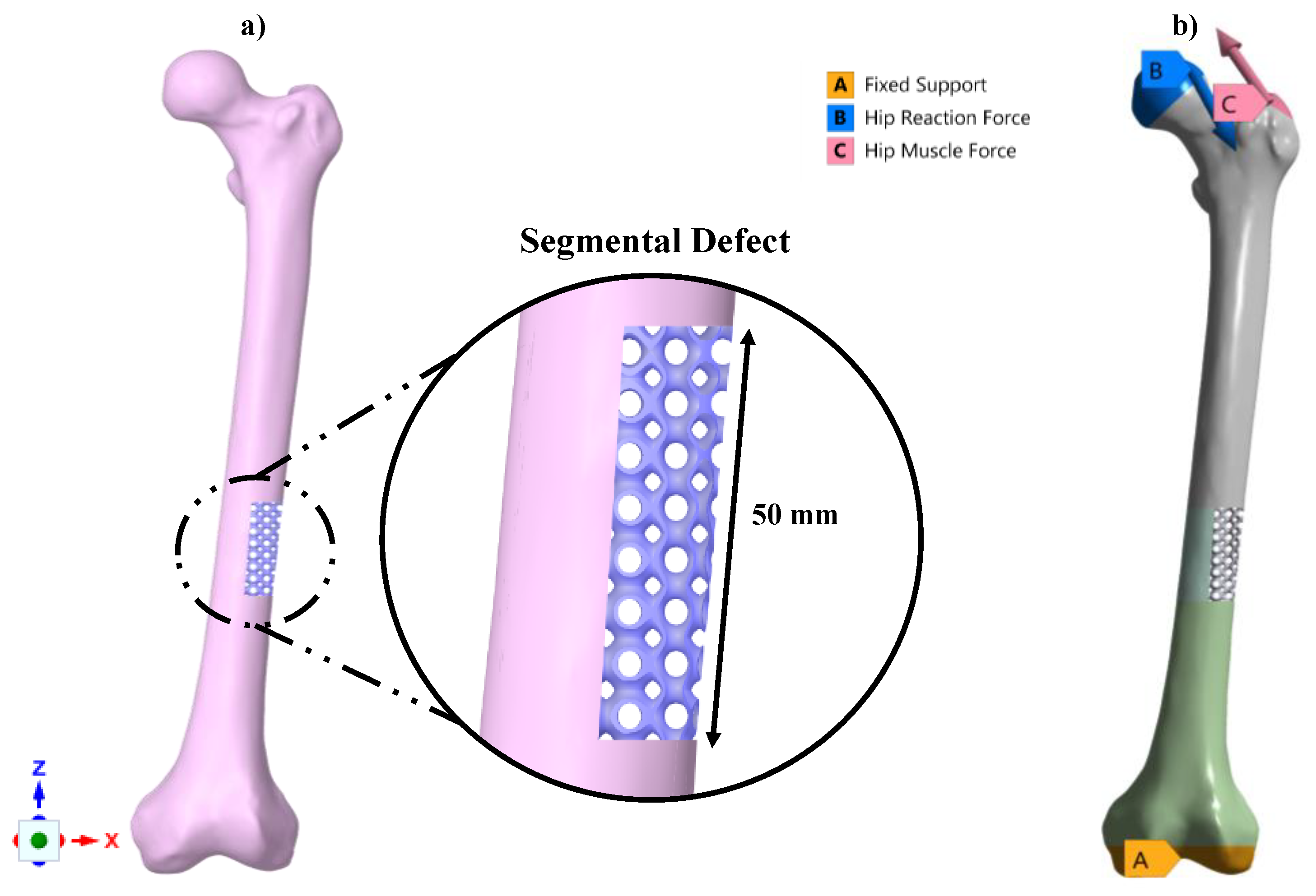 Coatings 12 00839 g004