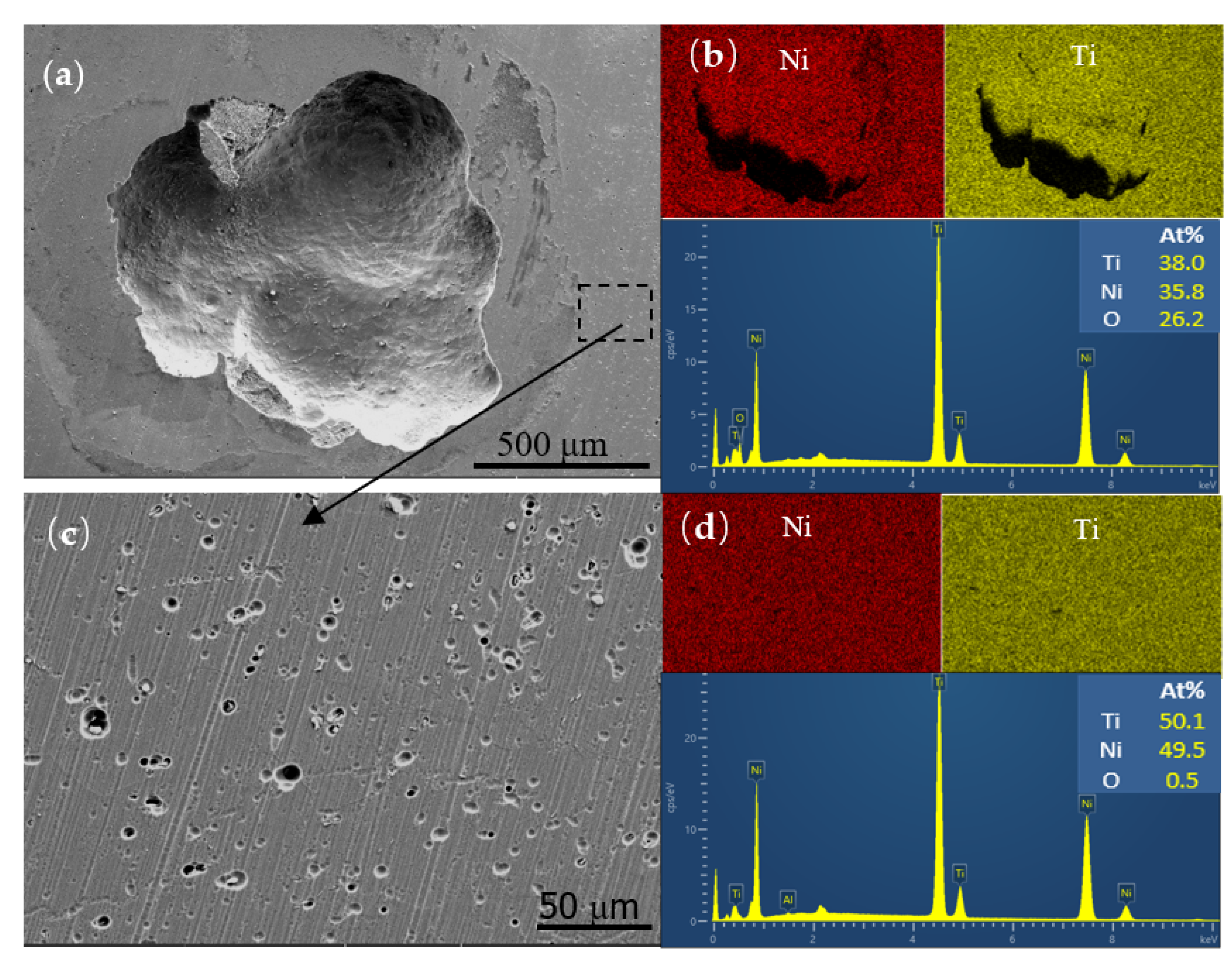 Coatings 12 00840 g011
