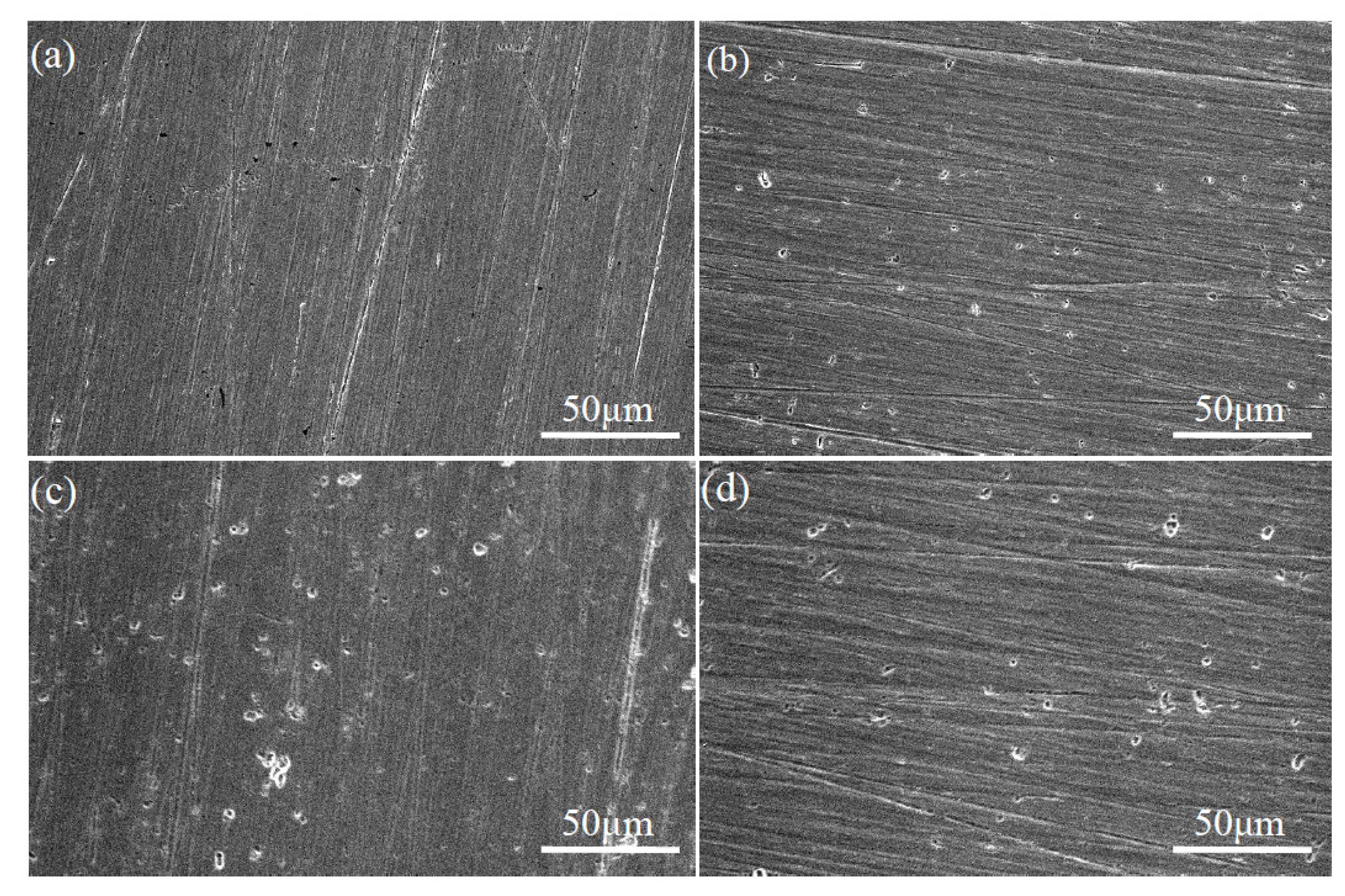 Coatings 12 00840 g012