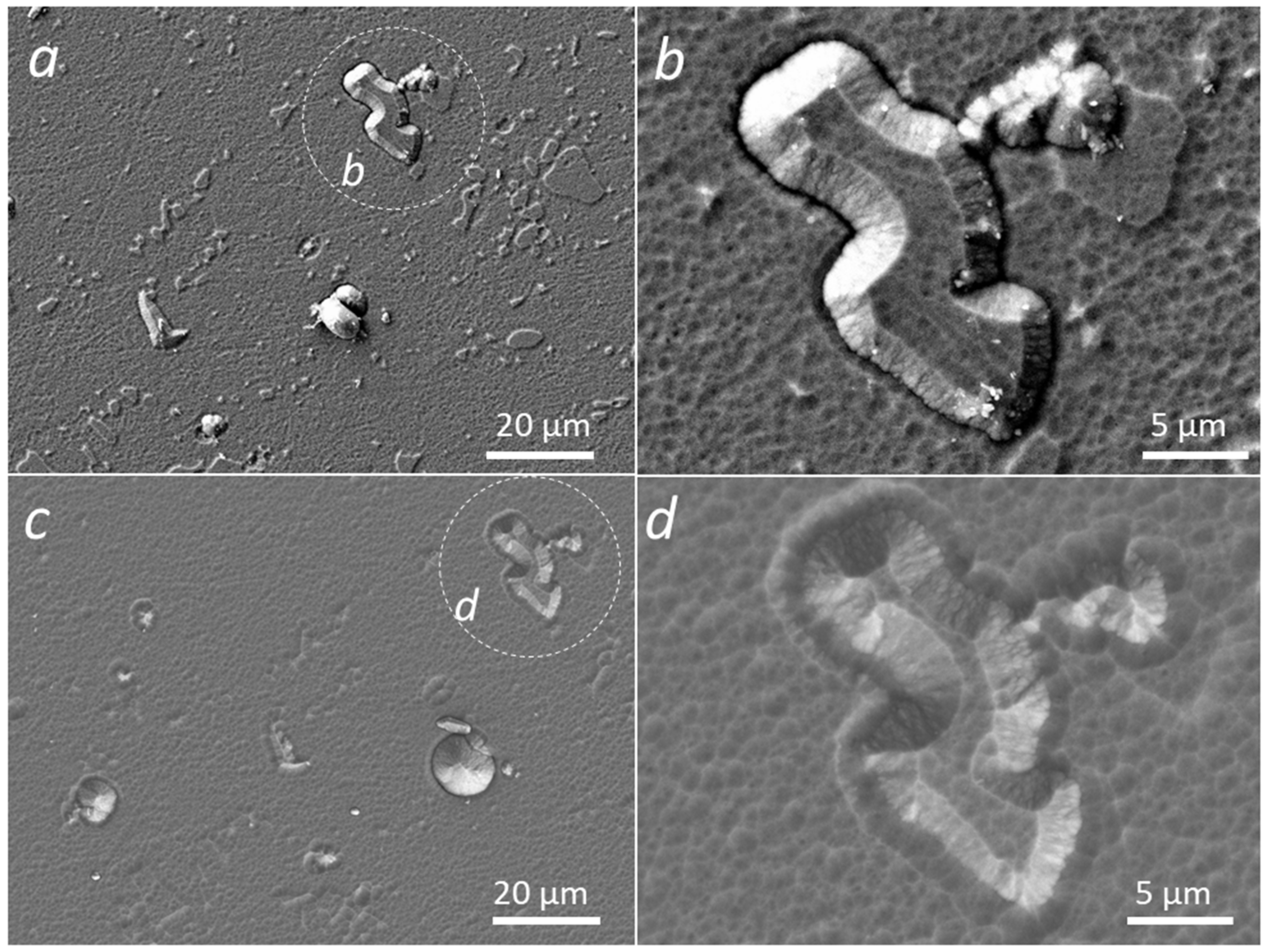 Coatings 12 00846 g001