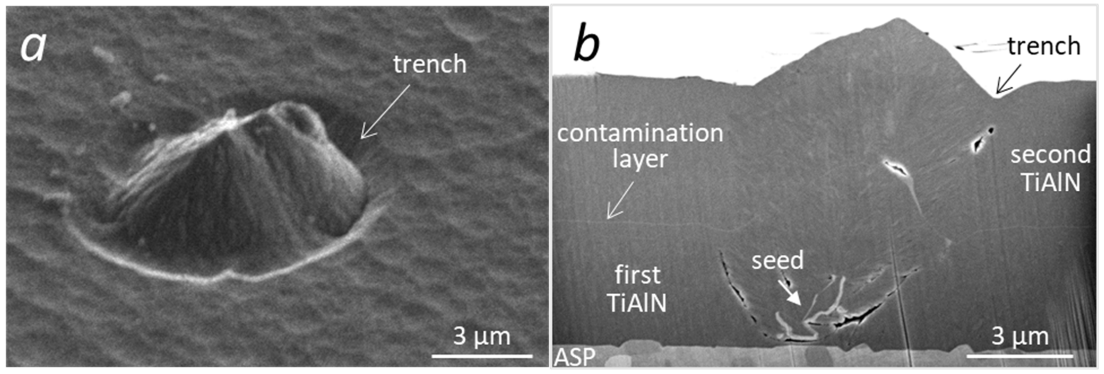 Coatings 12 00846 g006
