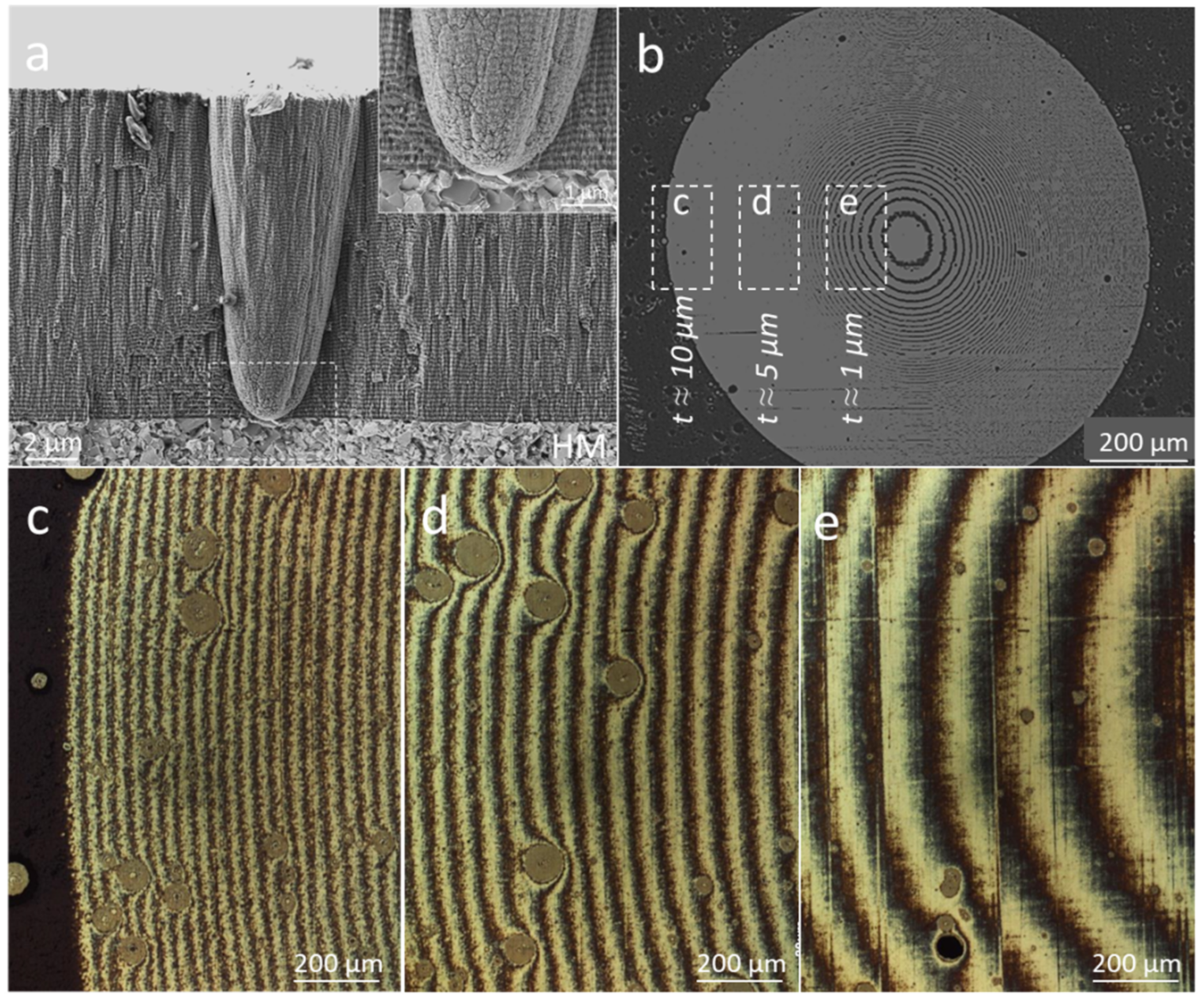 Coatings 12 00846 g011