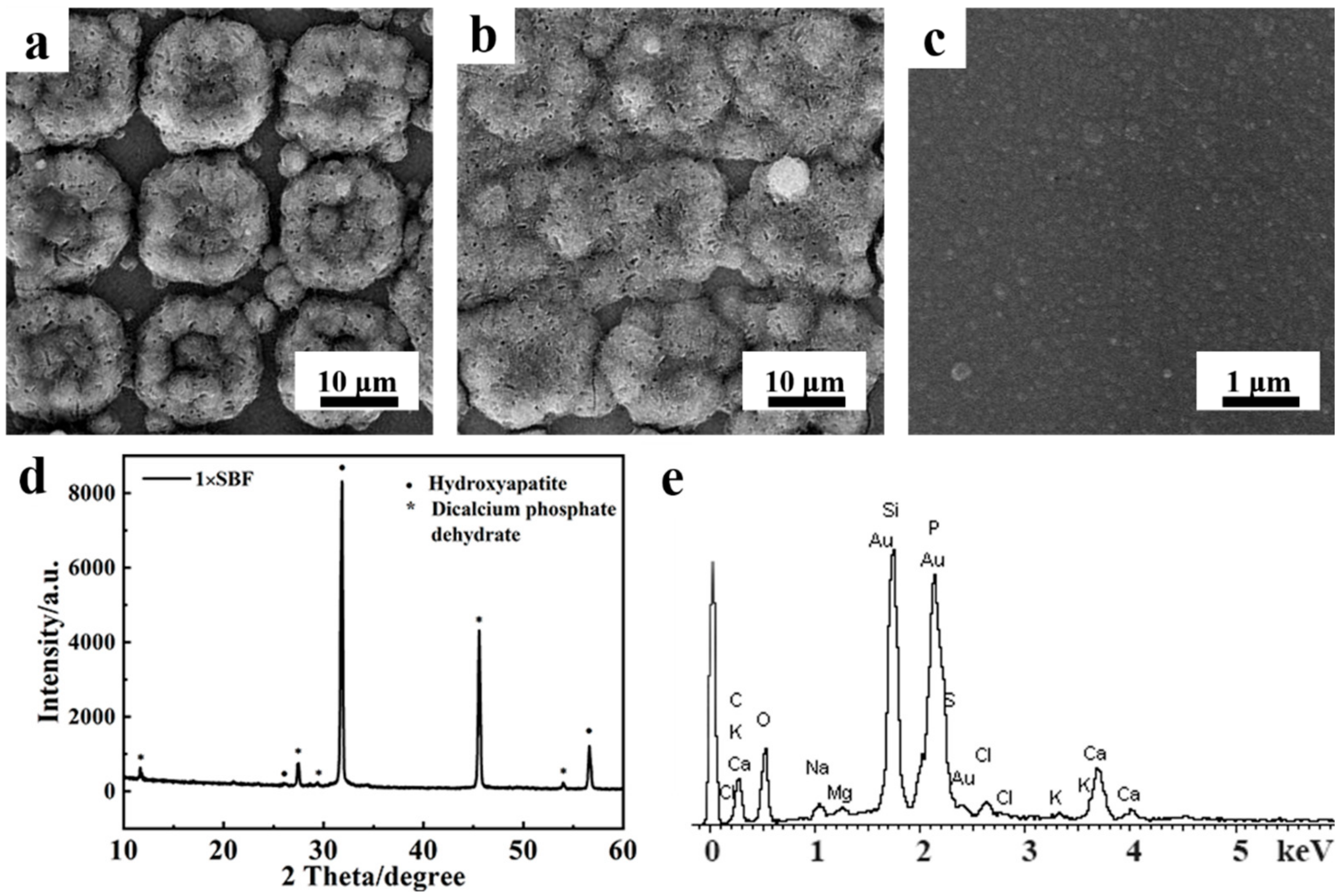 Coatings 12 00849 g004